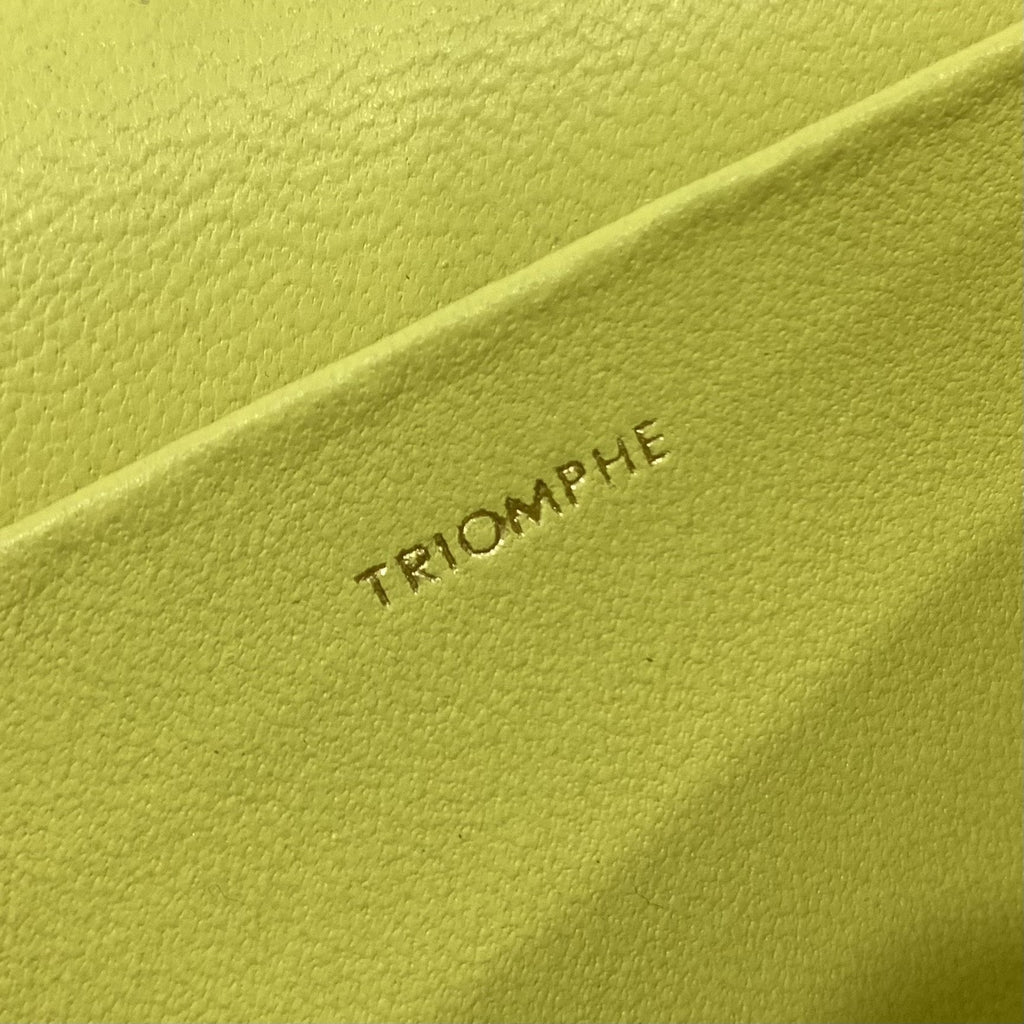 Chain Shoulder Bag Cuir Triomphe Green For Women 7.9in/20cm