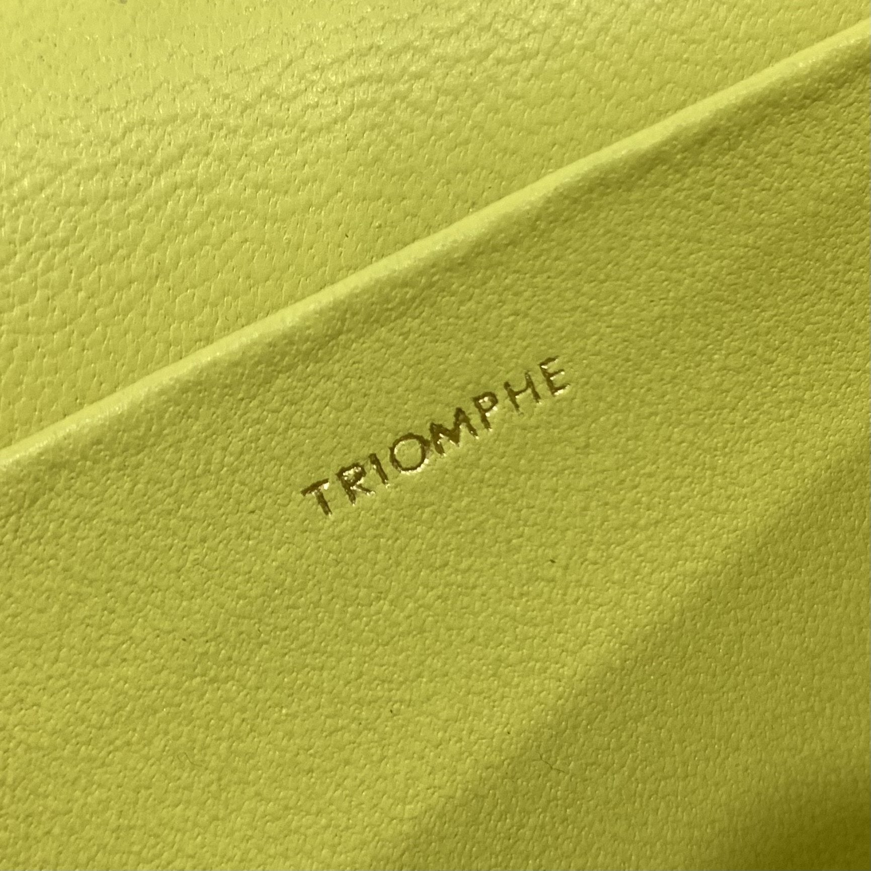 Celine Chain Shoulder Bag Cuir Triomphe Green For Women 7.9in/20cm