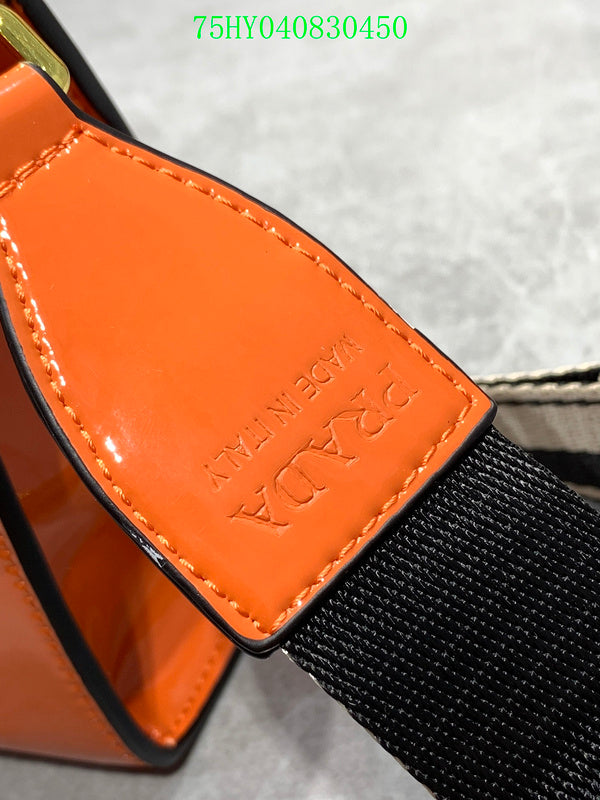 Prada Bags - The Luxera Bags  011