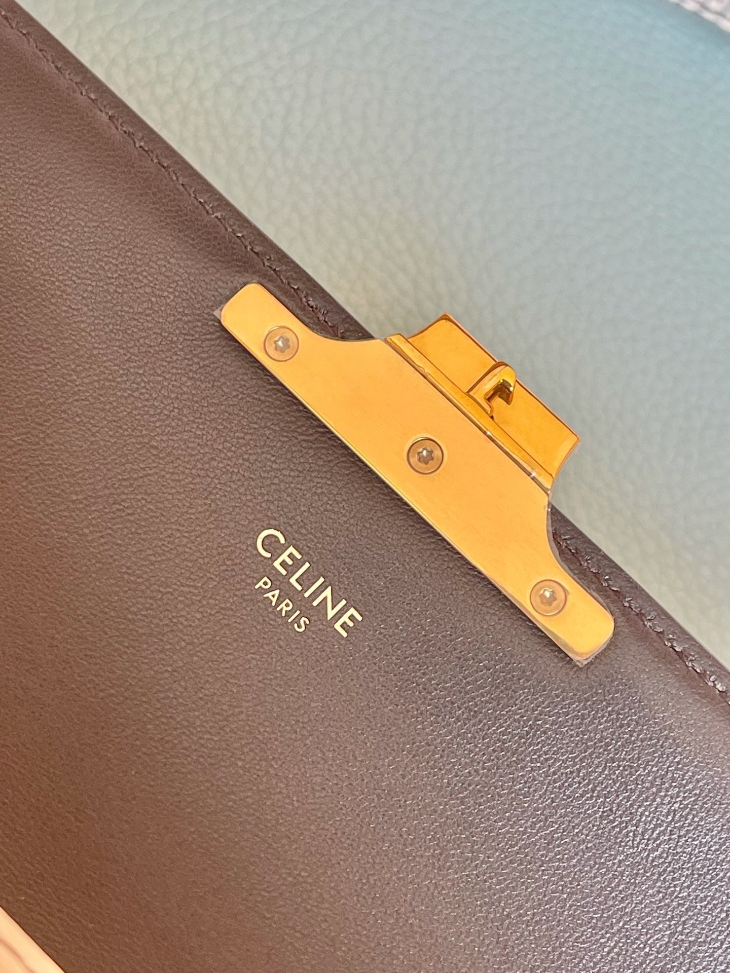 Celine Triomphe Shoulder Bag In Lizard Natural For Women 8in/20cm 194144BF5.02VG