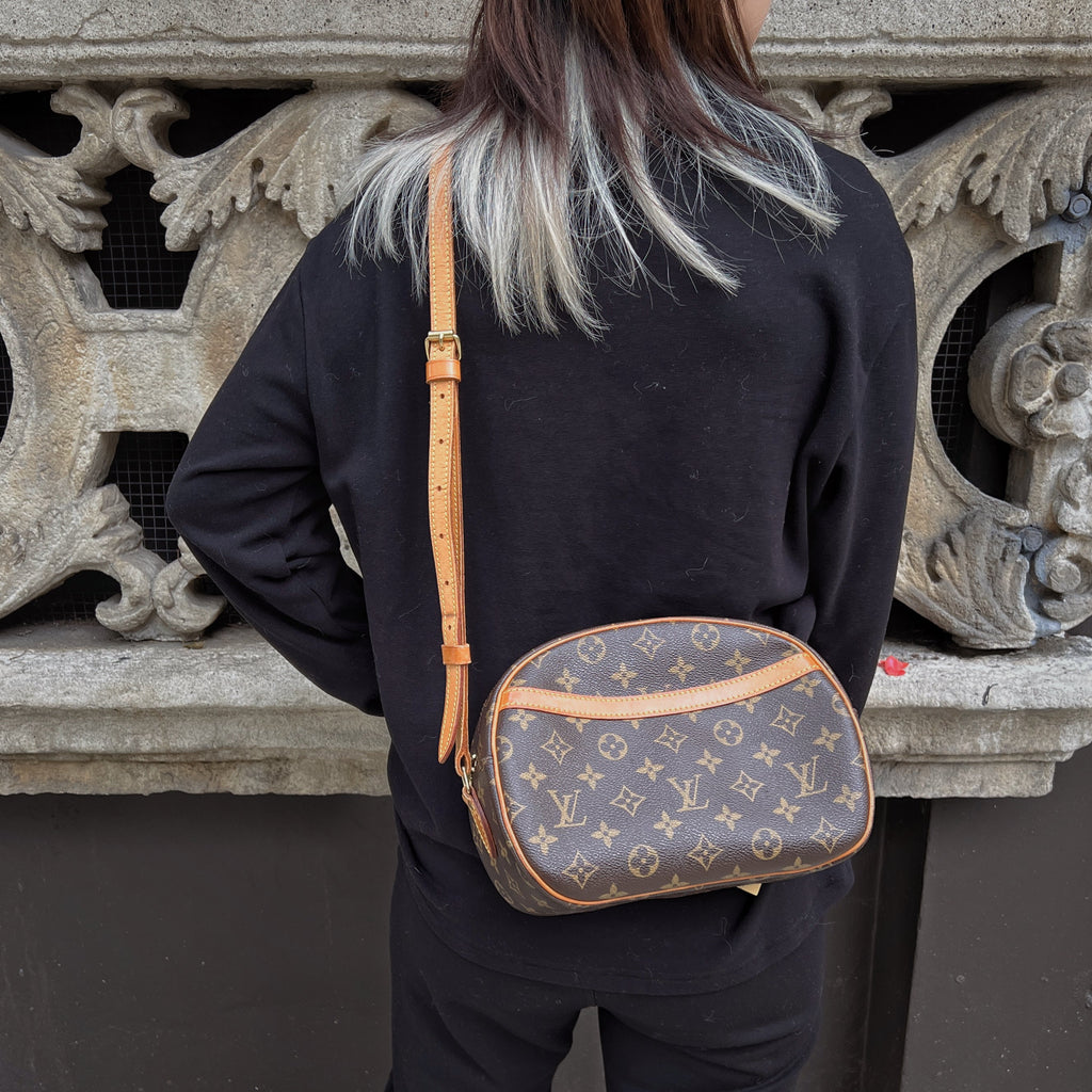 Louis Vuitton Blois Crossbody Bag TWS pop
