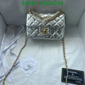 Chanel Bags Crossbody - 493