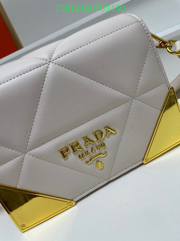 Prada Bags - The Luxera Bags  124