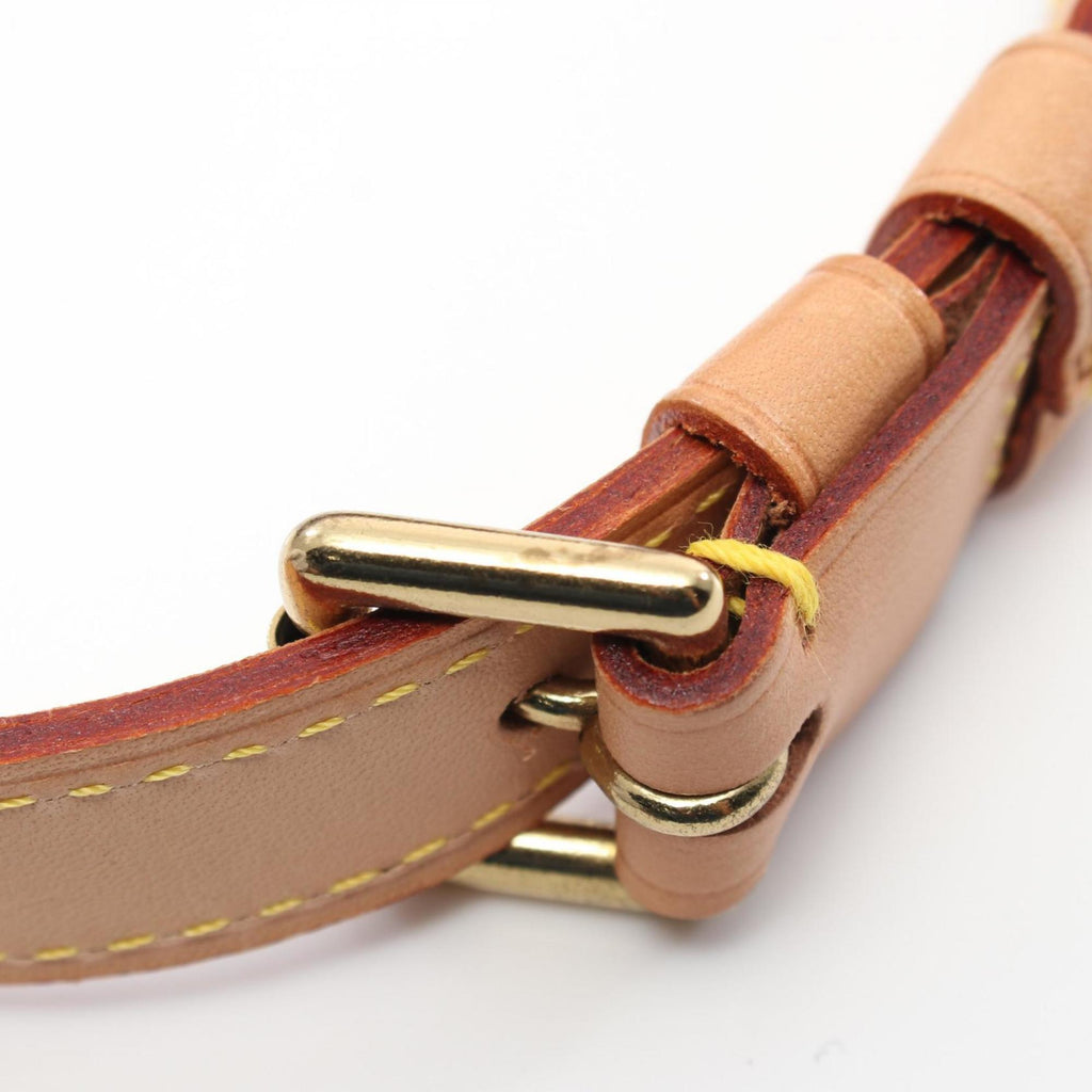 LOUIS VUITTON M1:1 Reptte Salsa Shoulder Bag