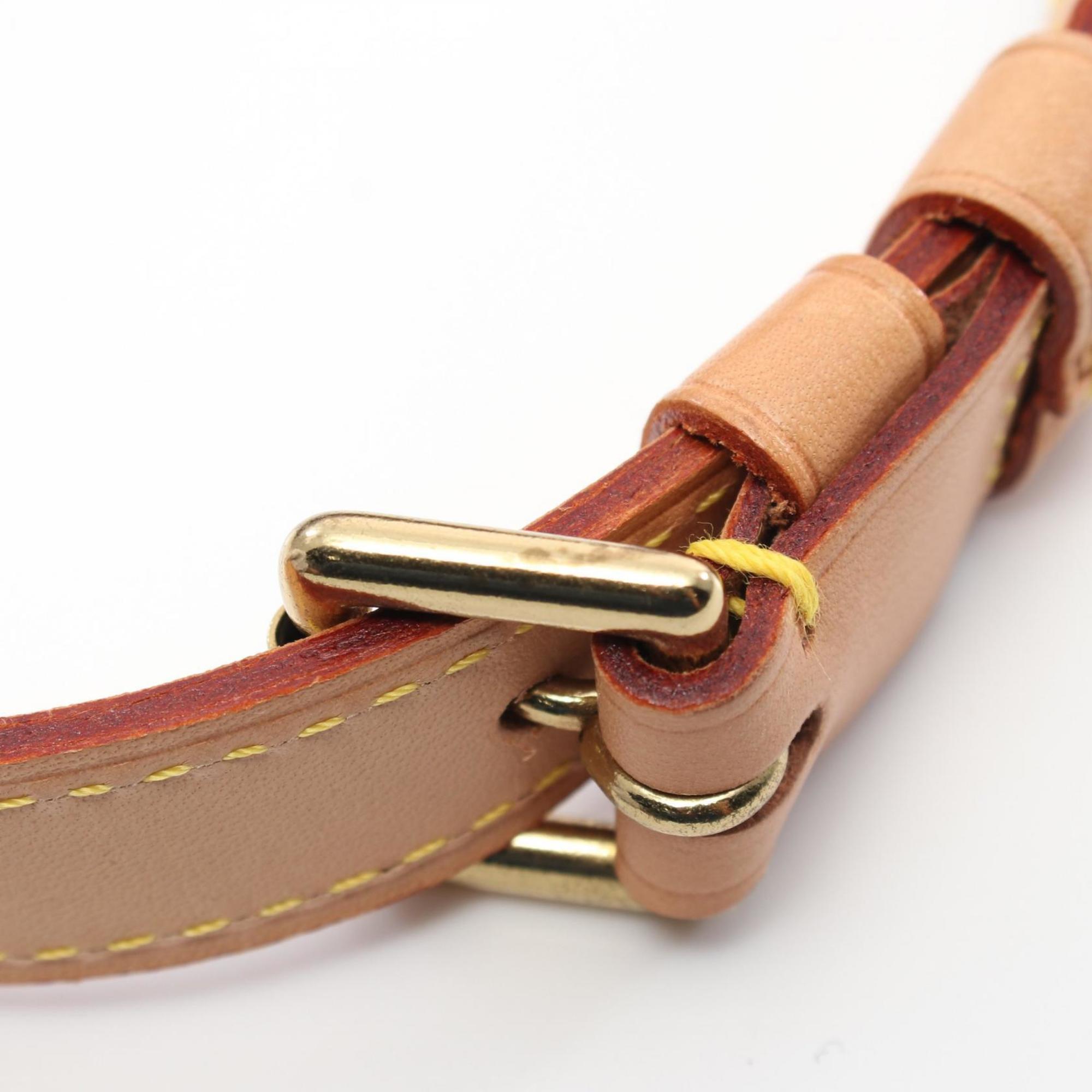 LOUIS VUITTON M1:1 Reptte Salsa Shoulder Bag