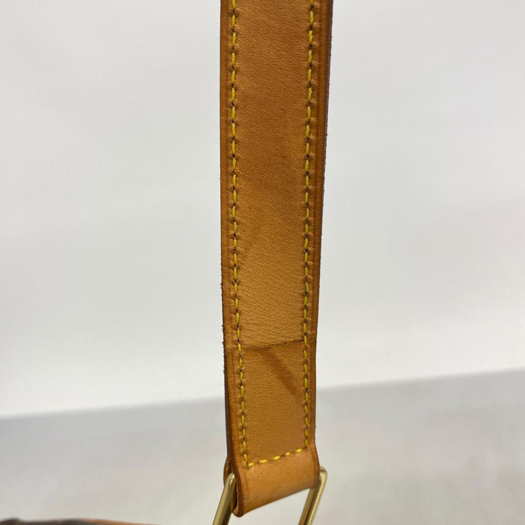 LOUIS VUITTON M1:1 Reptte Salsa Shoulder Bag