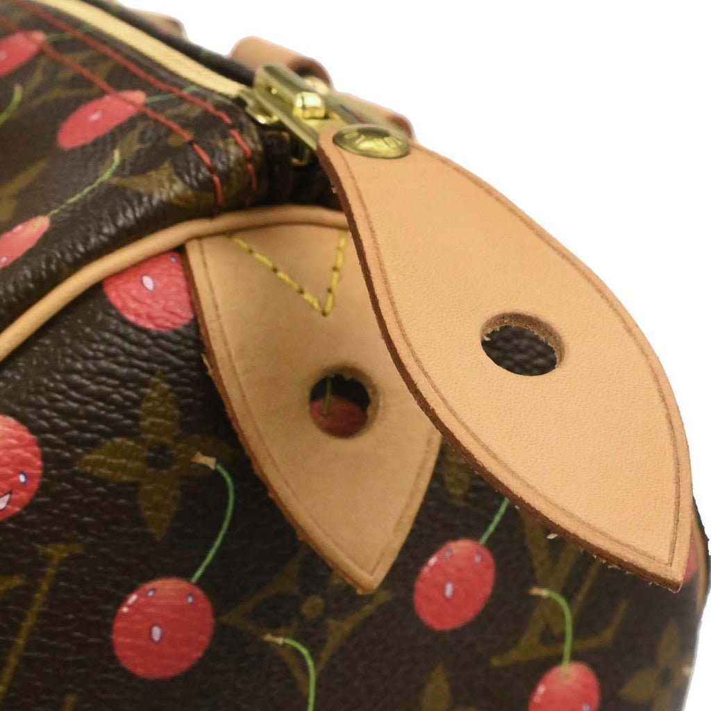 Louis Vuitton 2005 Monogram Cherry Speedy 25 Handbag M95009