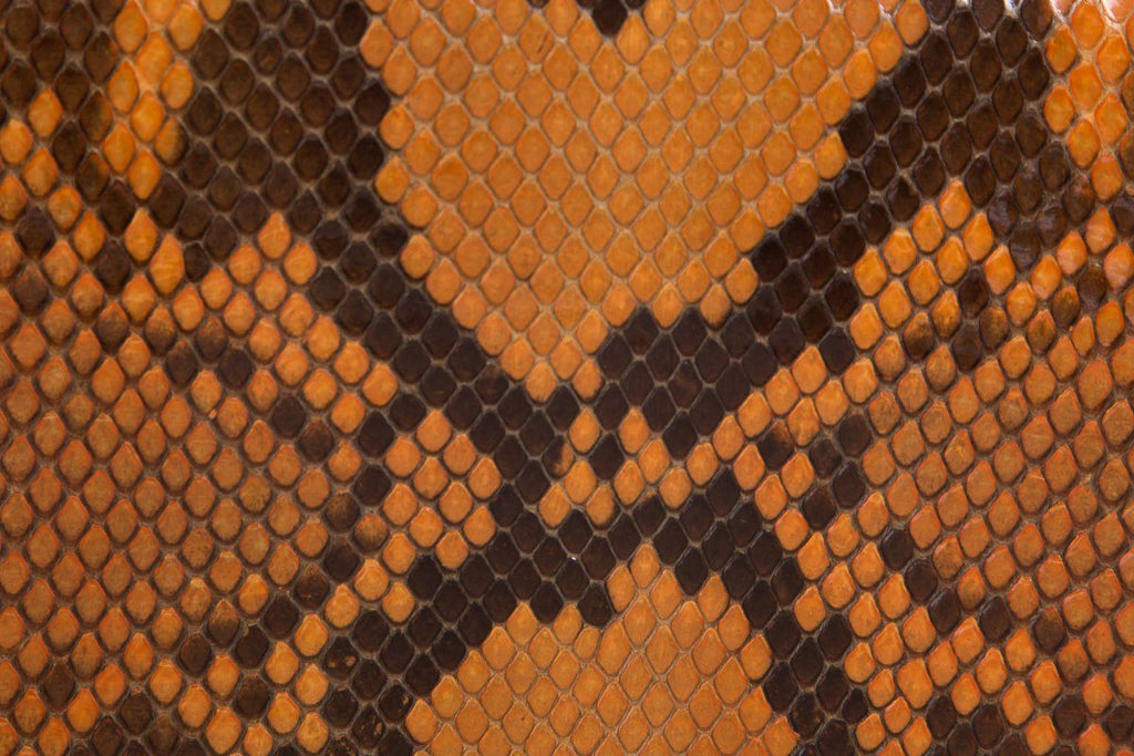 Manolo Blahnik Orange &  Python Clutch