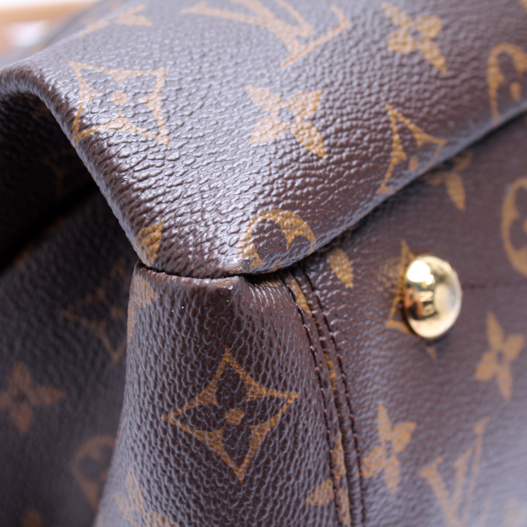 Pallas Tote Monogram Canvas Side