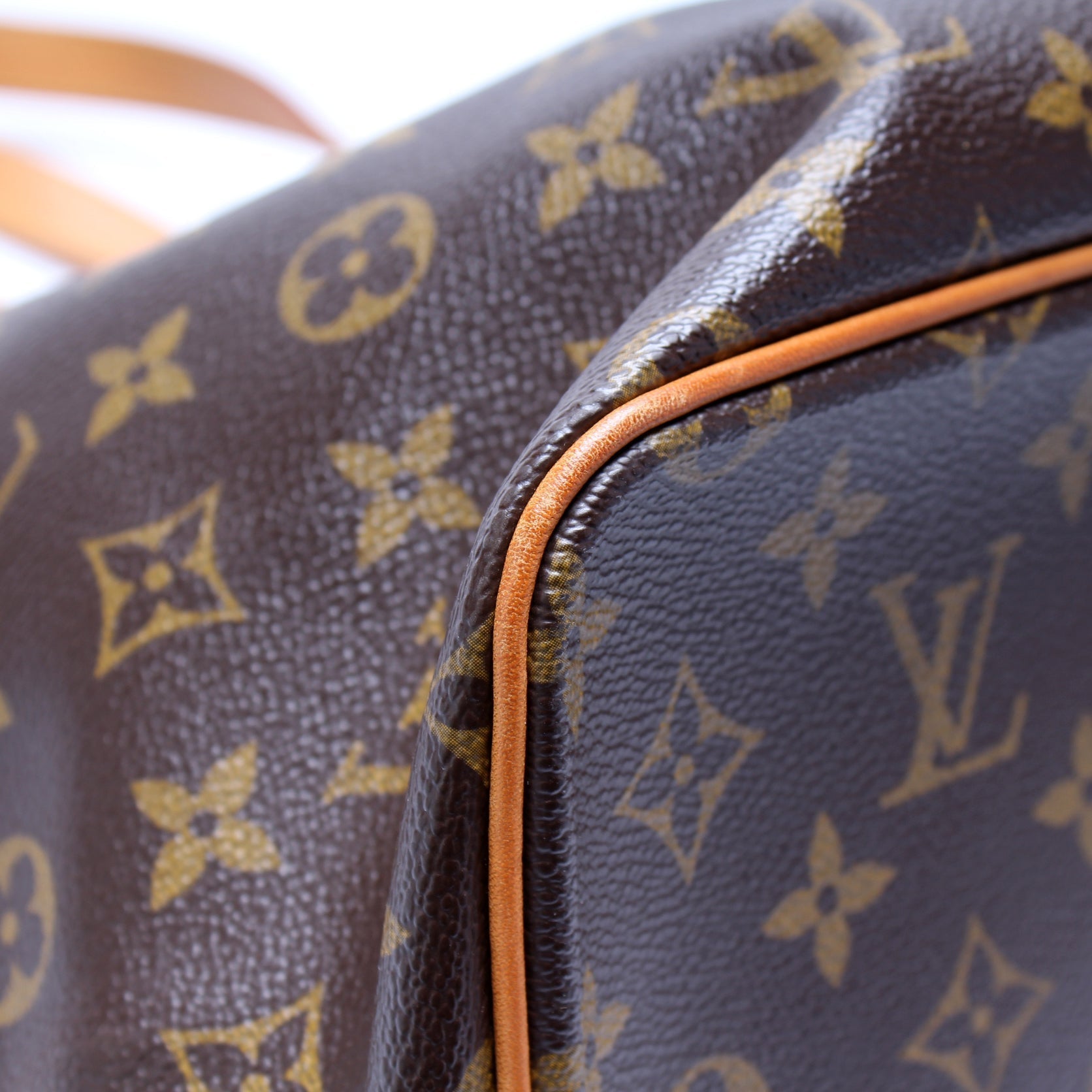 Palermo PM Monogram