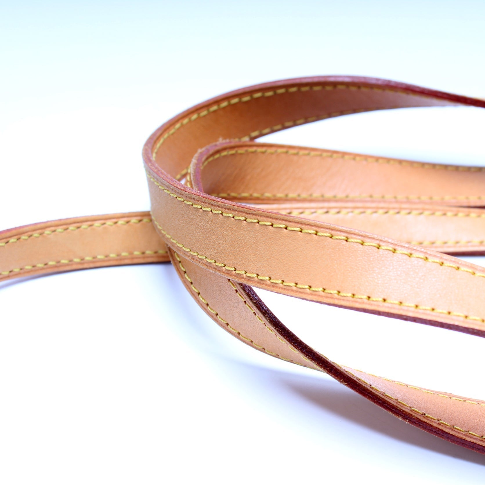Palermo PM Monogram