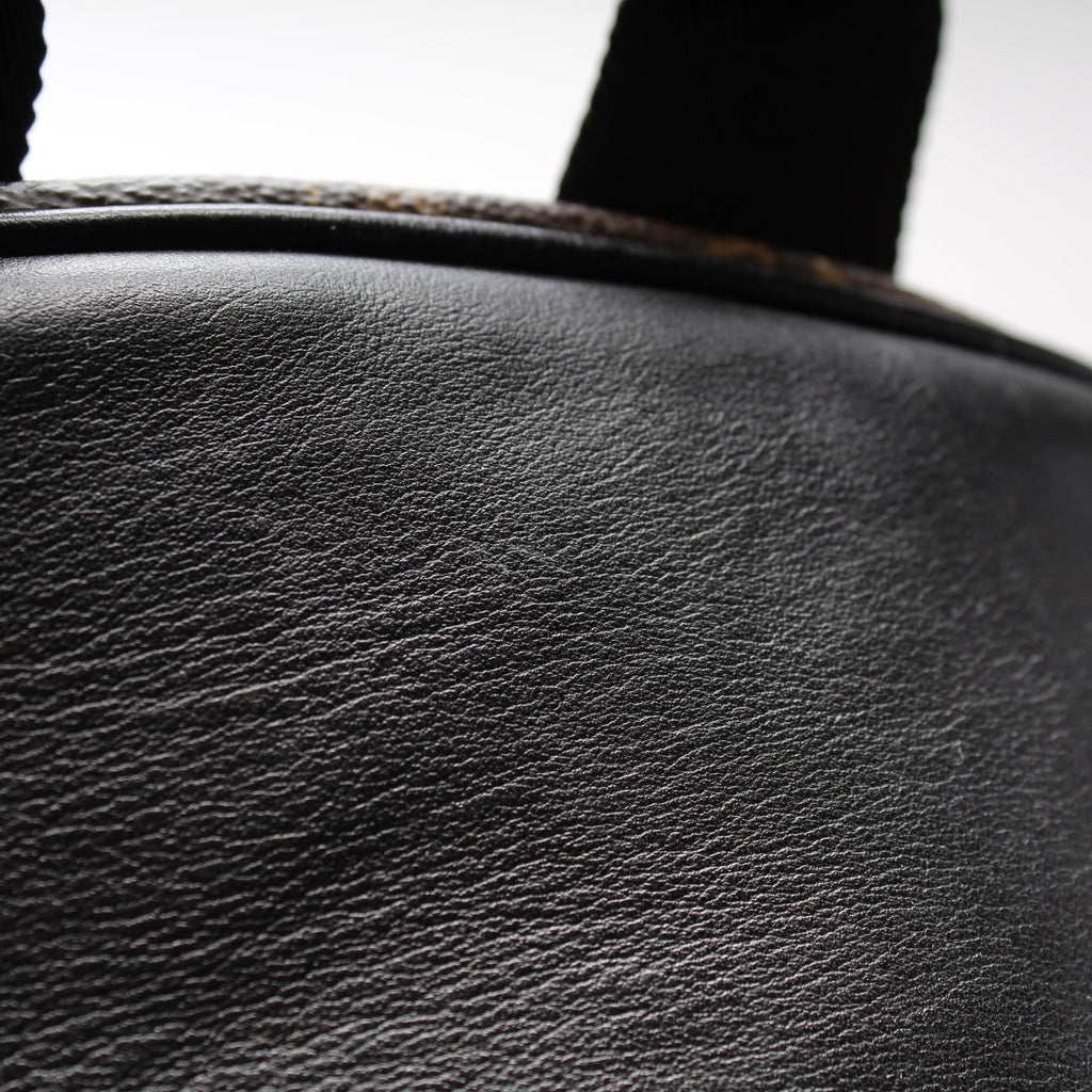 Josh Backpack NM Macassar Monogram