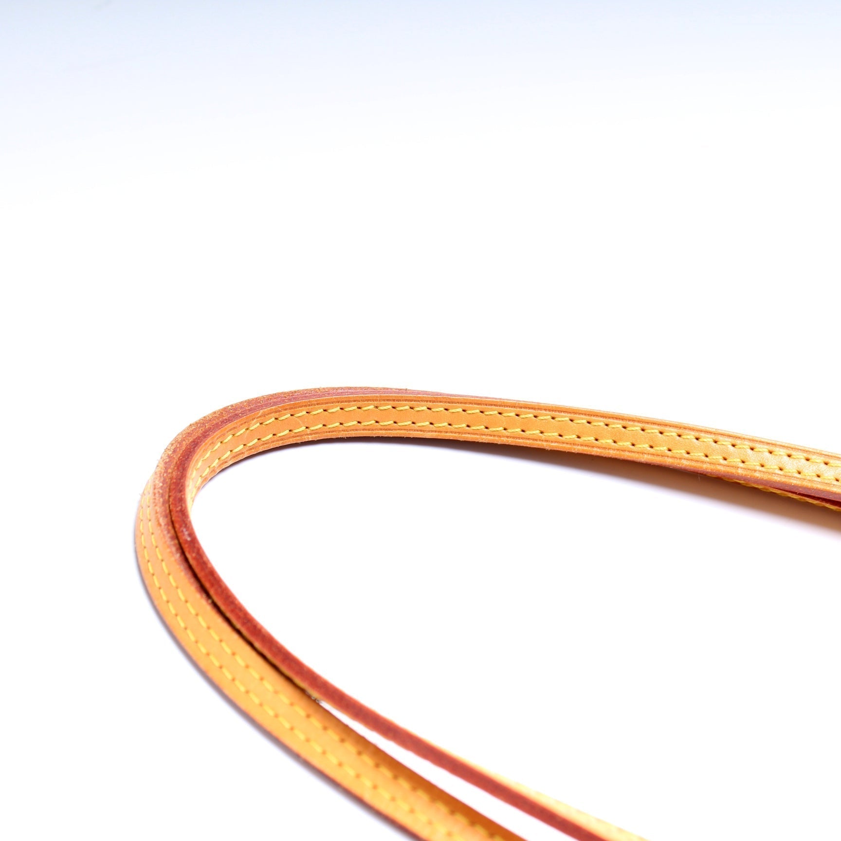 Neverfull GM Monogram