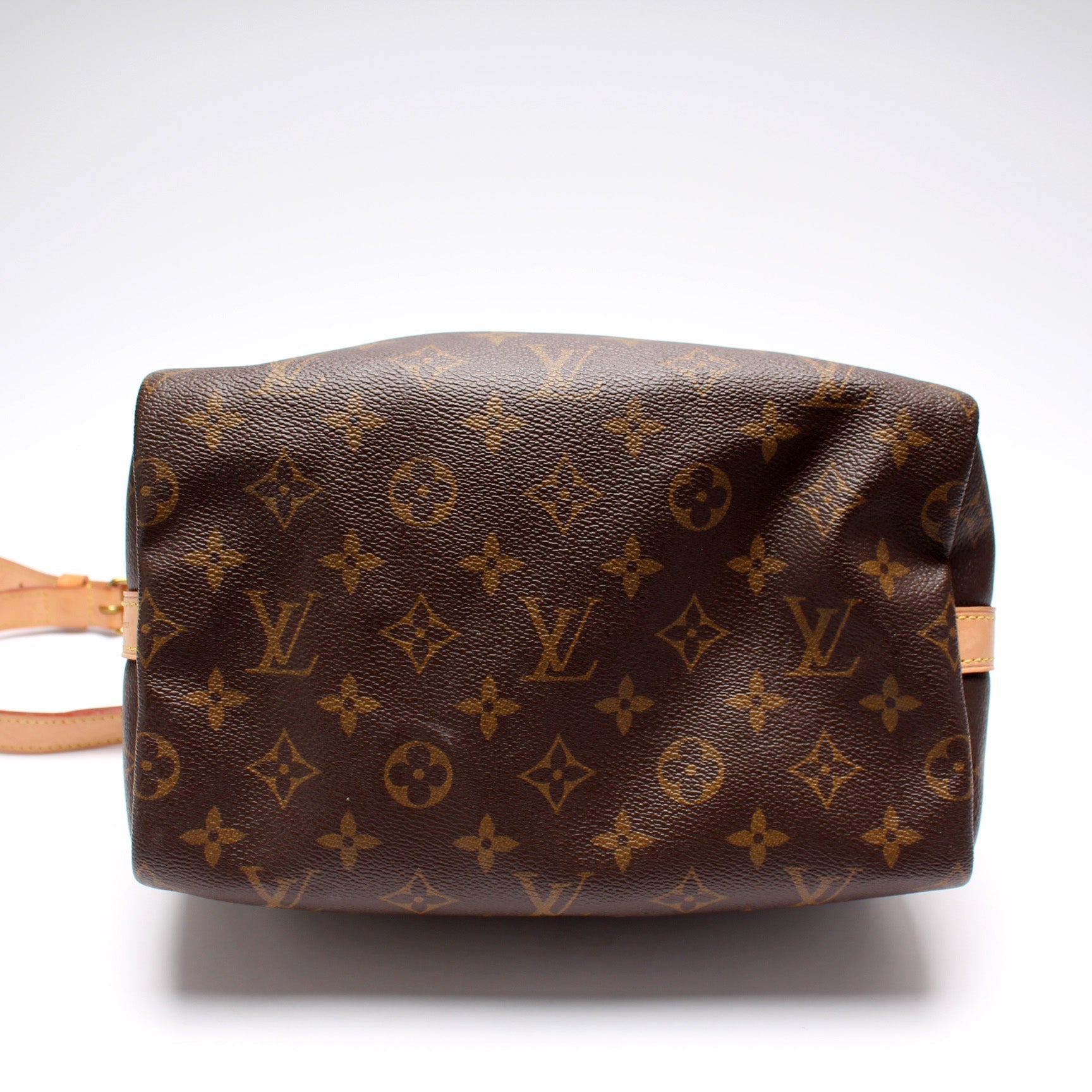 Speedy 25 Bandouliere Monogram