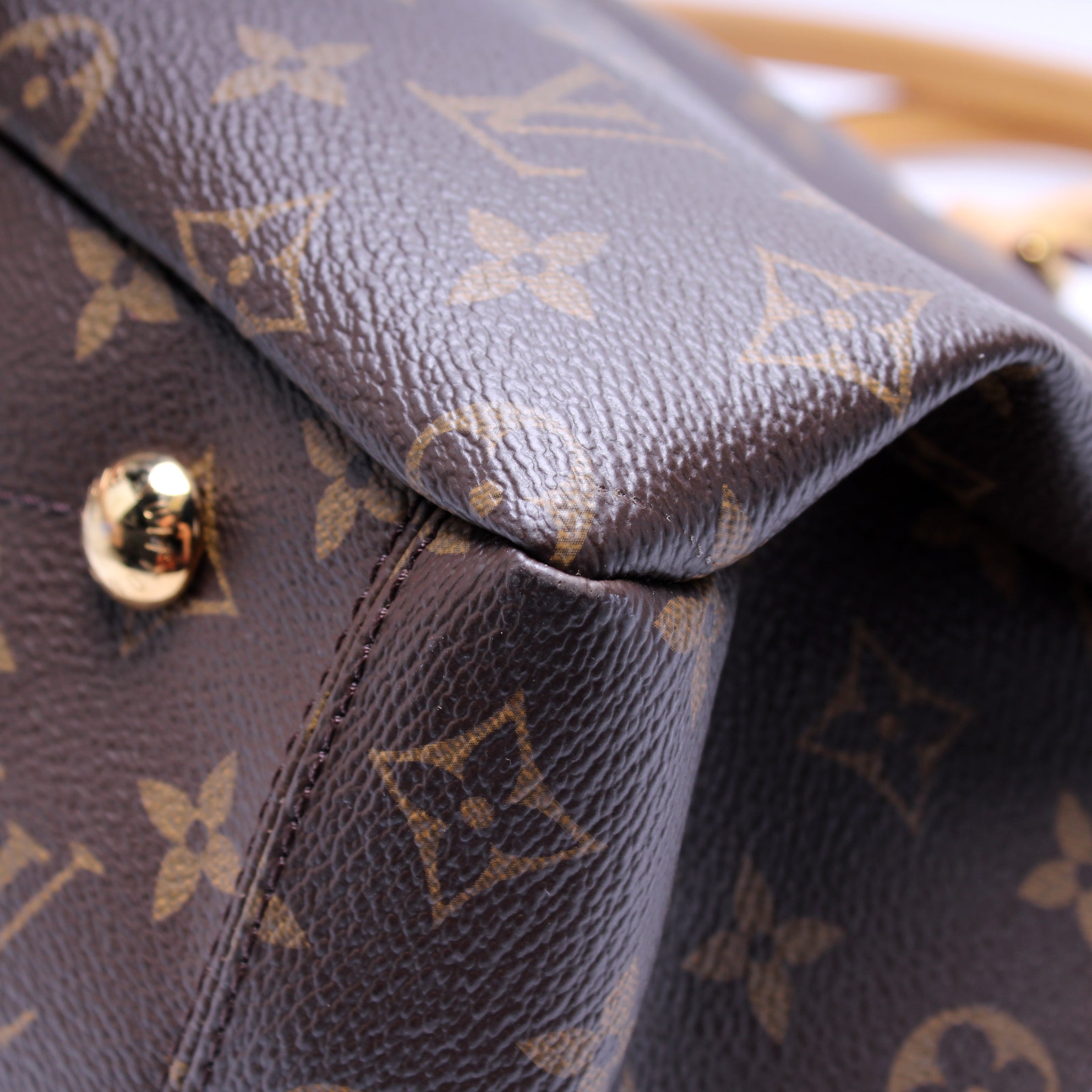 Pallas Tote Monogram Canvas Side