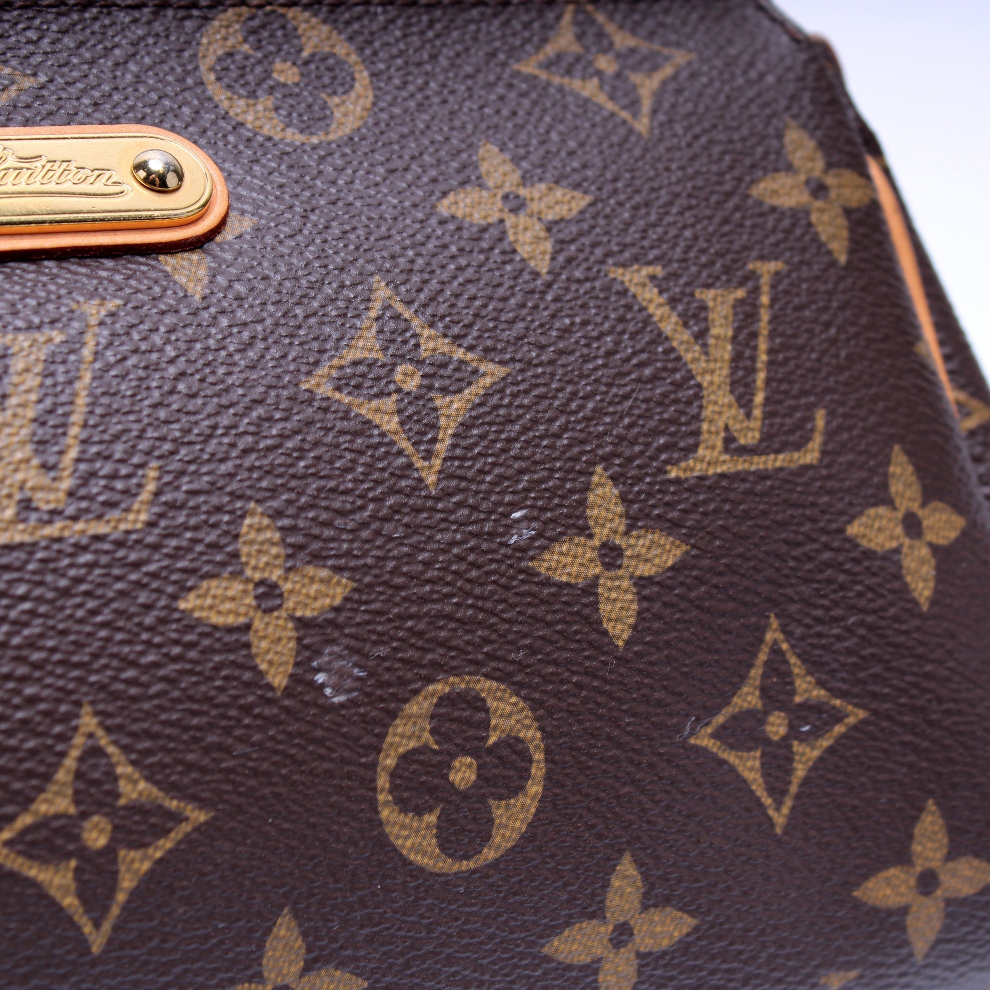 Eva Clutch Monogram