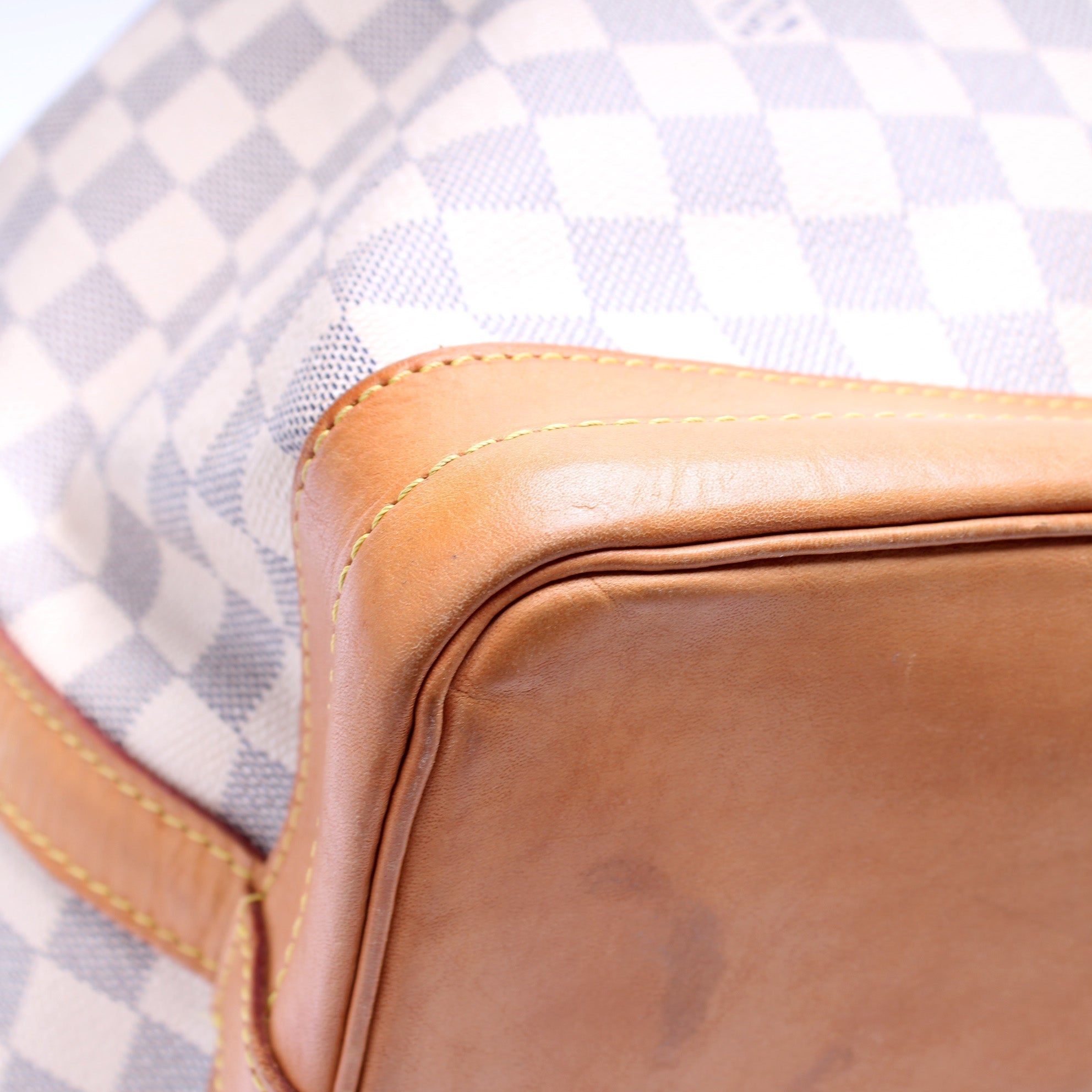 Noe Damier Azur