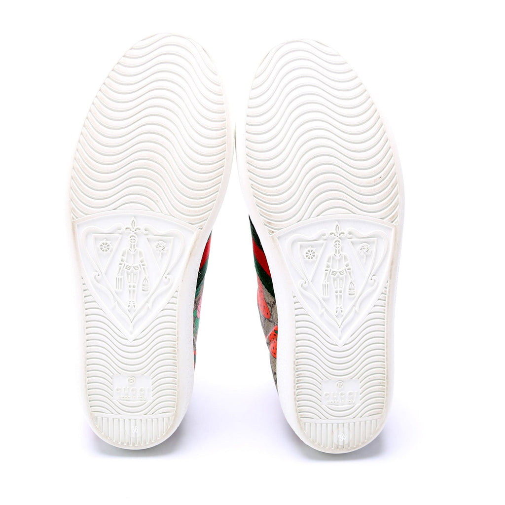 Gucci Ace Web Sneakers Size 36