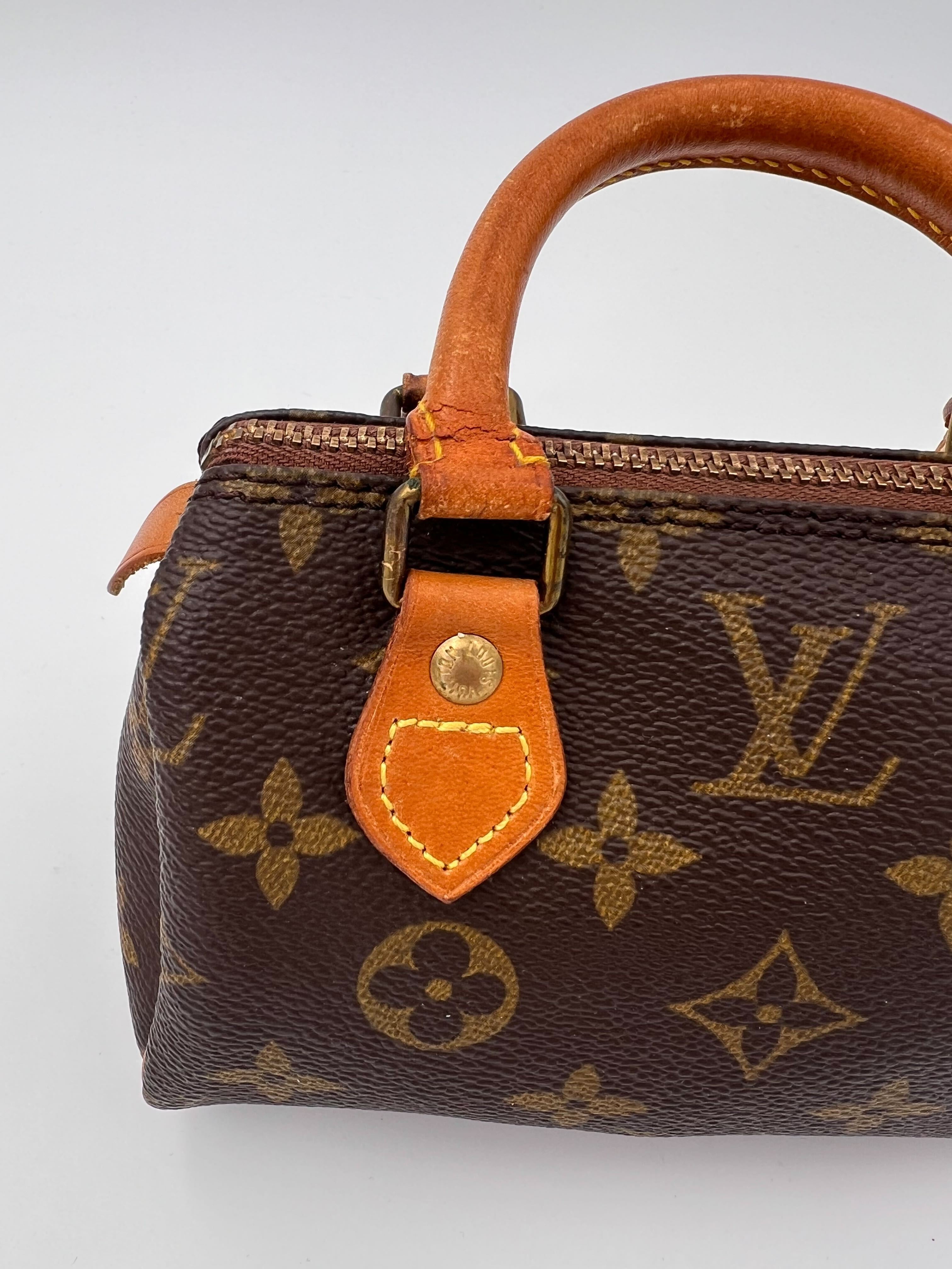 Louis Vuitton Canvas Nano Speedy Handbag