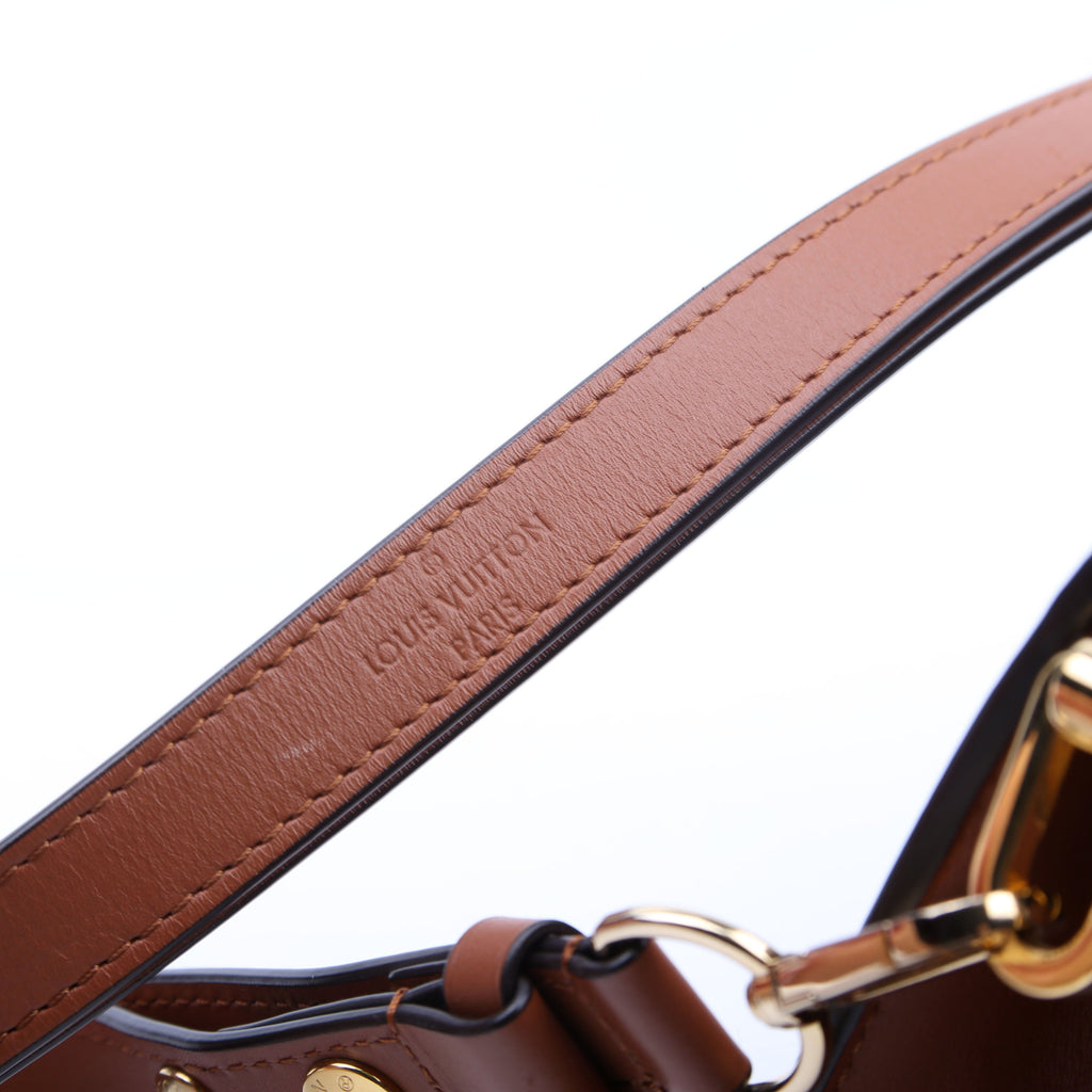 Louis Vuitton Dauphine Mini Reverse Monogram