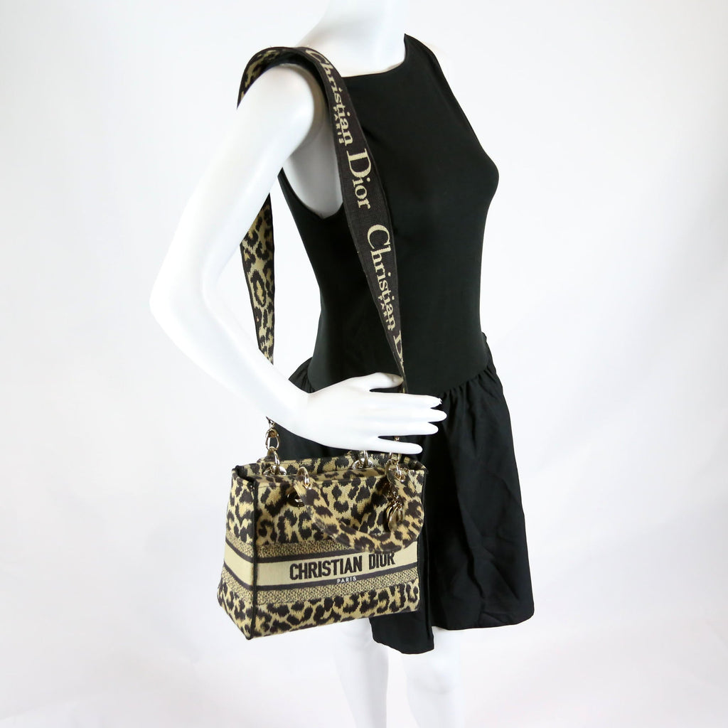 Christian Dior Lady D-Lite Medium Mizza Embroidered