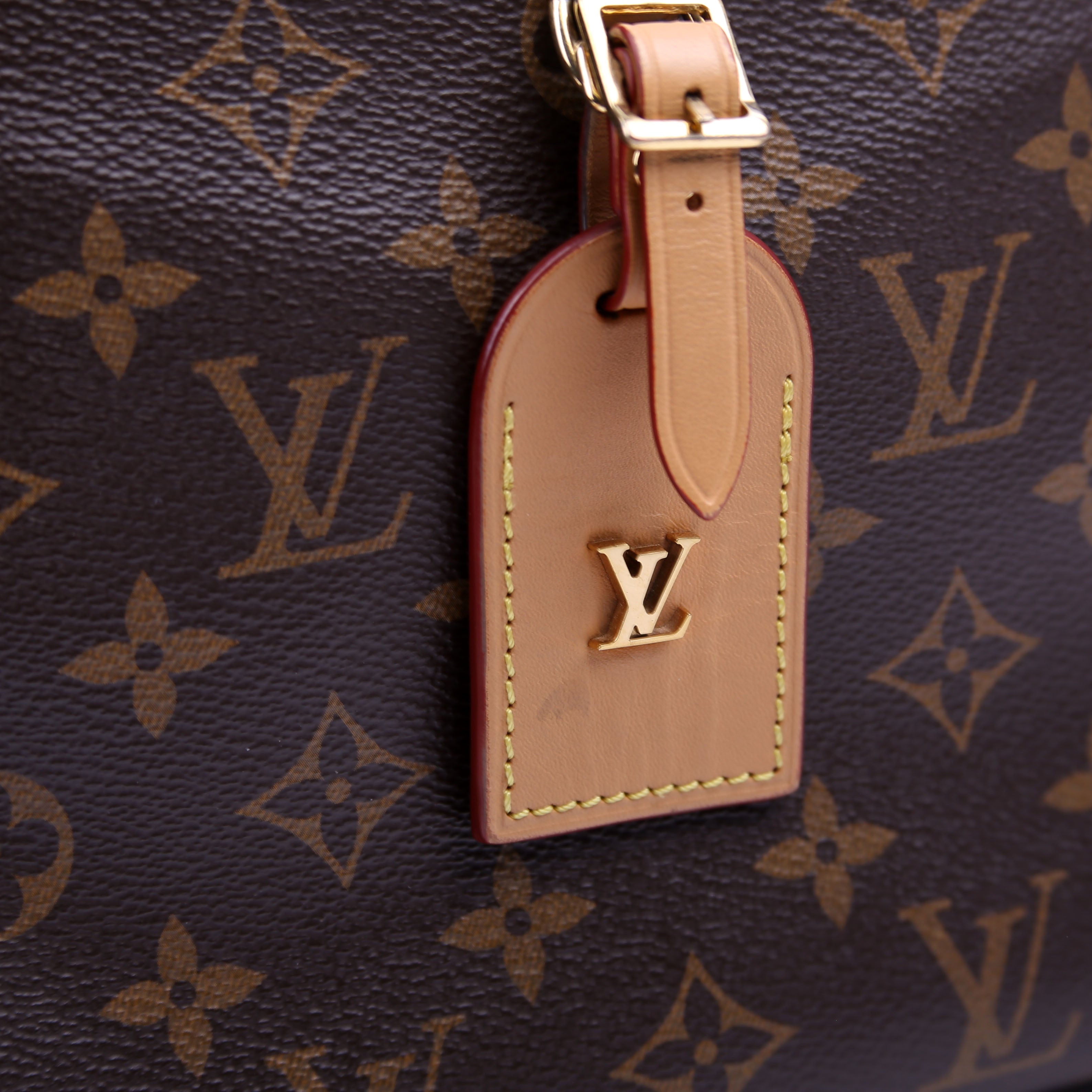 Louis Vuitton Odeon PM NM Monogram