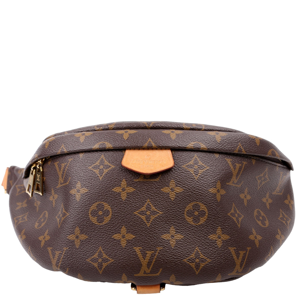 Louis Vuitton Bumbag Monogram