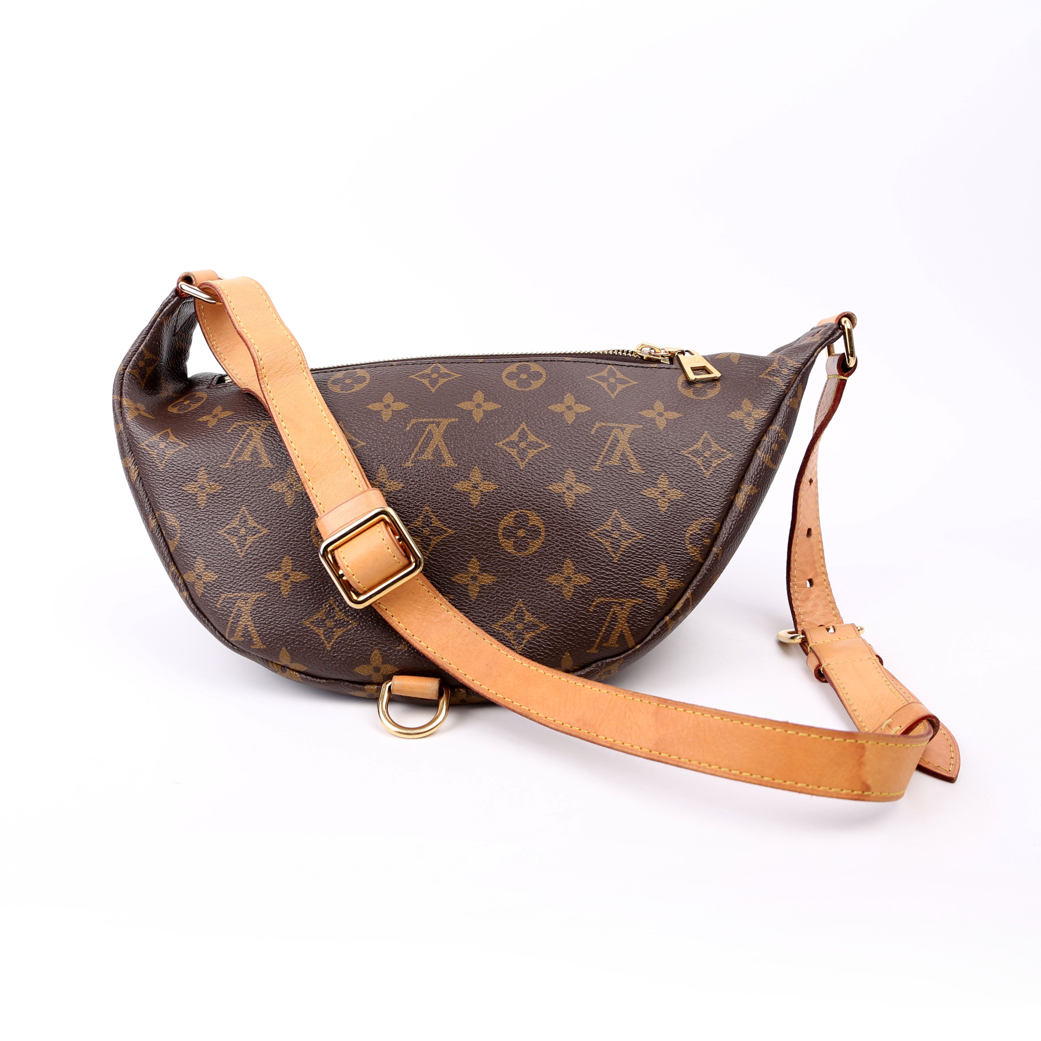 Louis Vuitton Bumbag Monogram