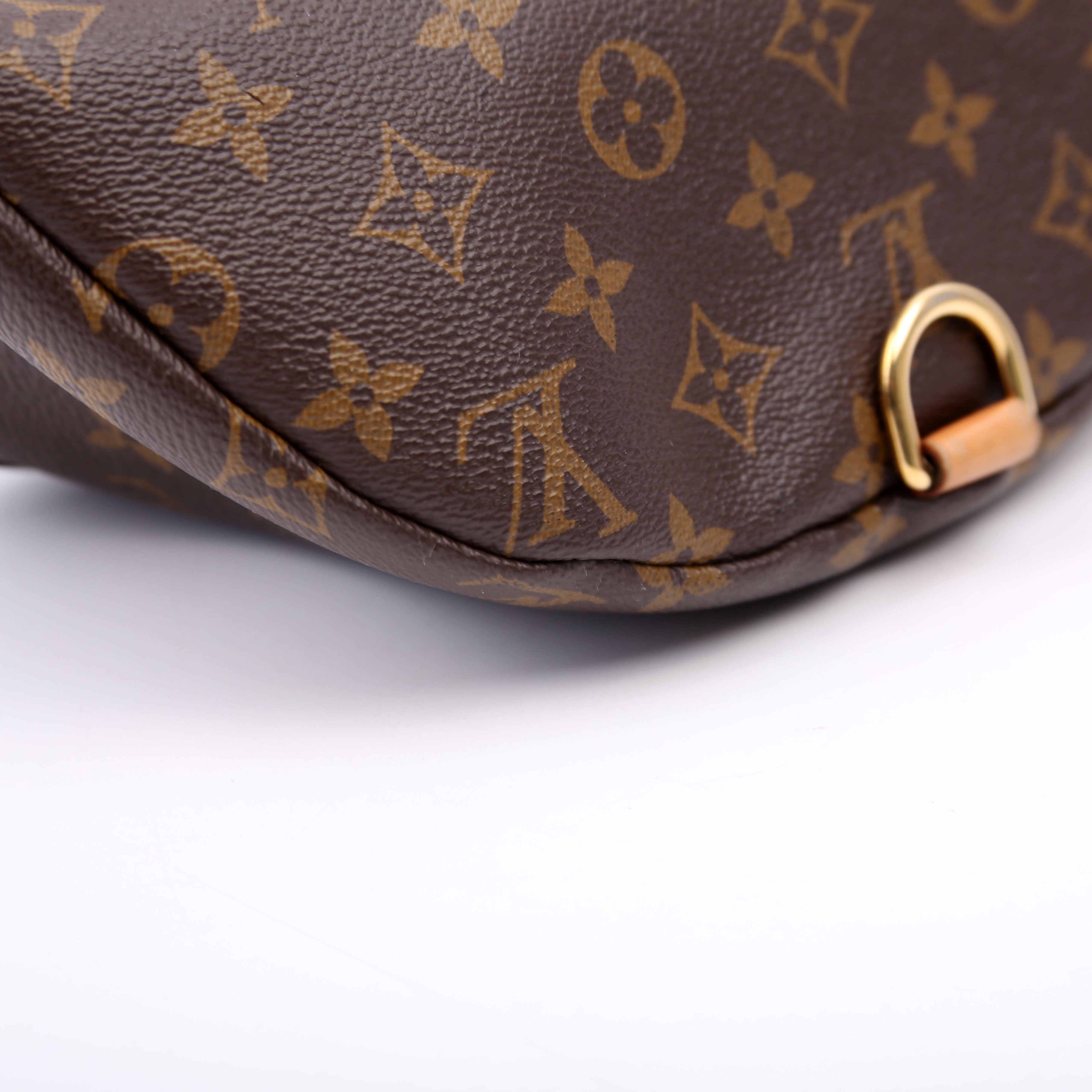 Louis Vuitton Bumbag Monogram
