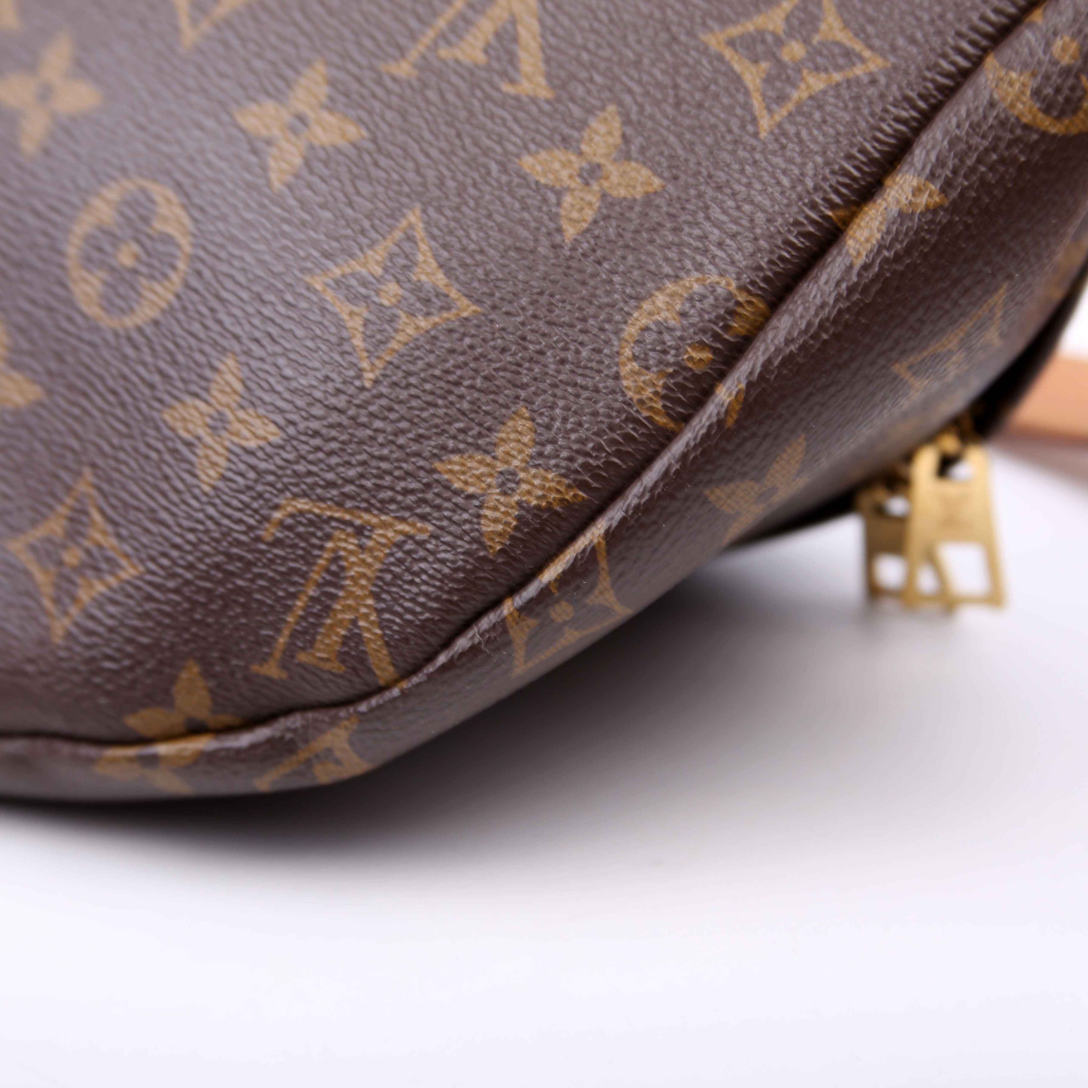 Louis Vuitton Bumbag Monogram