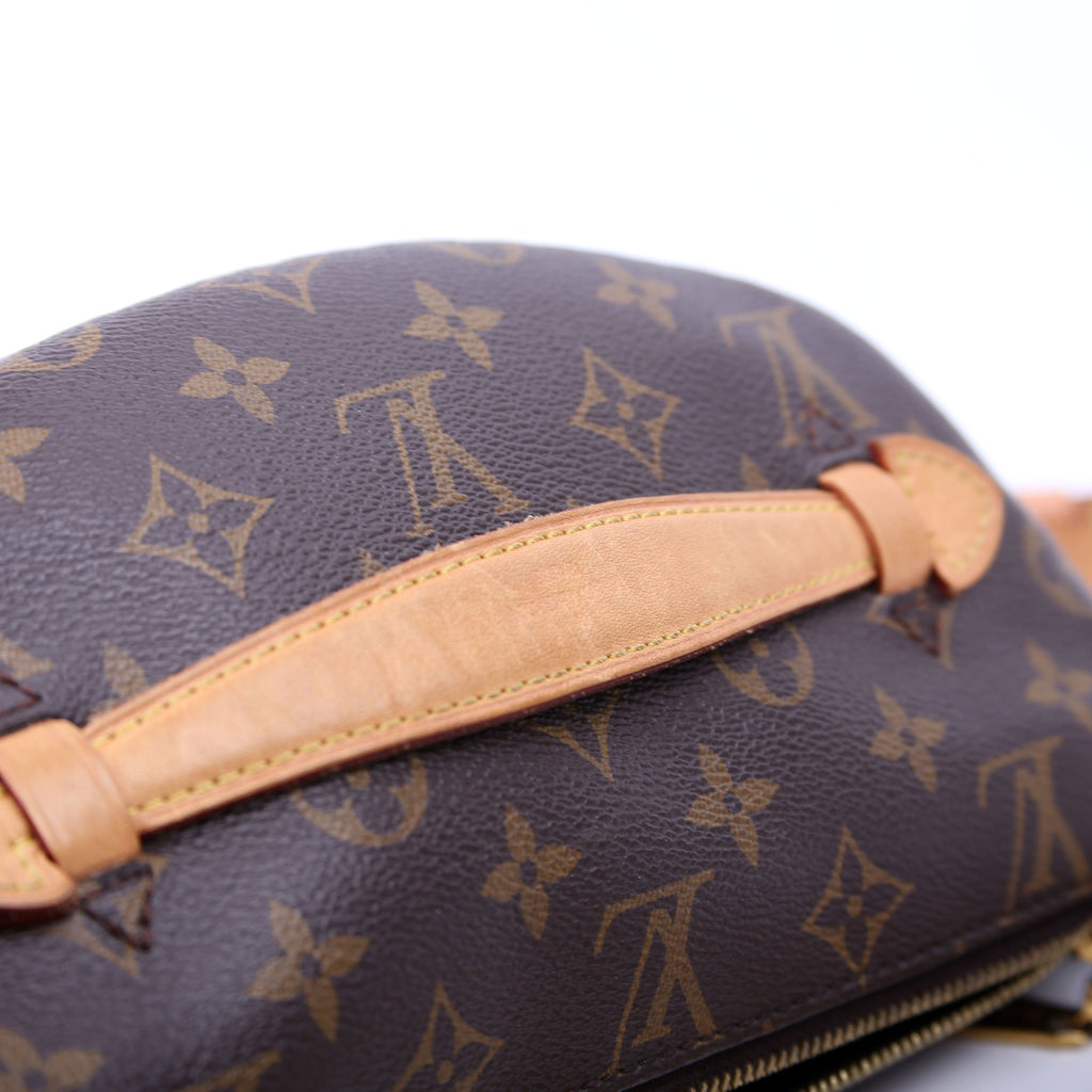Louis Vuitton Bumbag Monogram