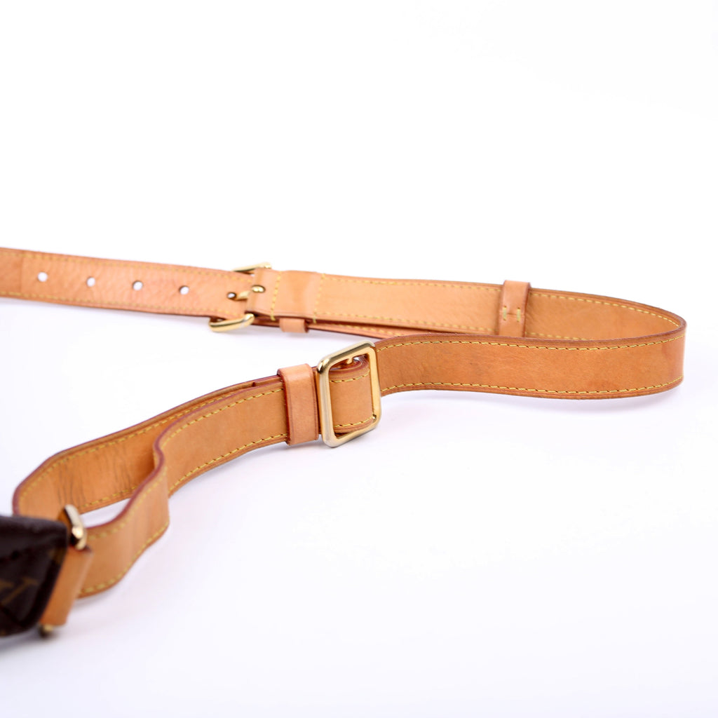 Louis Vuitton Bumbag Monogram