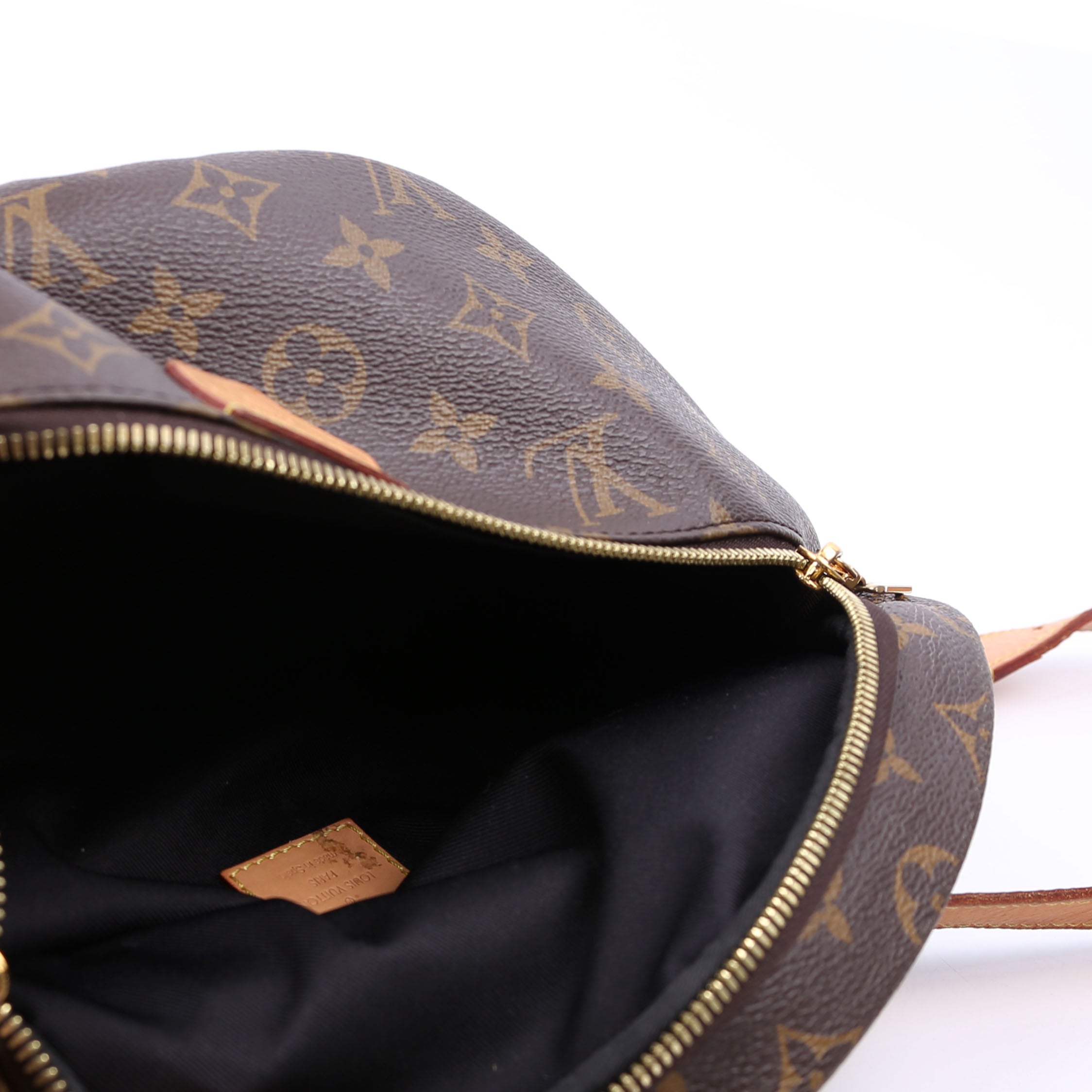 Louis Vuitton Bumbag Monogram