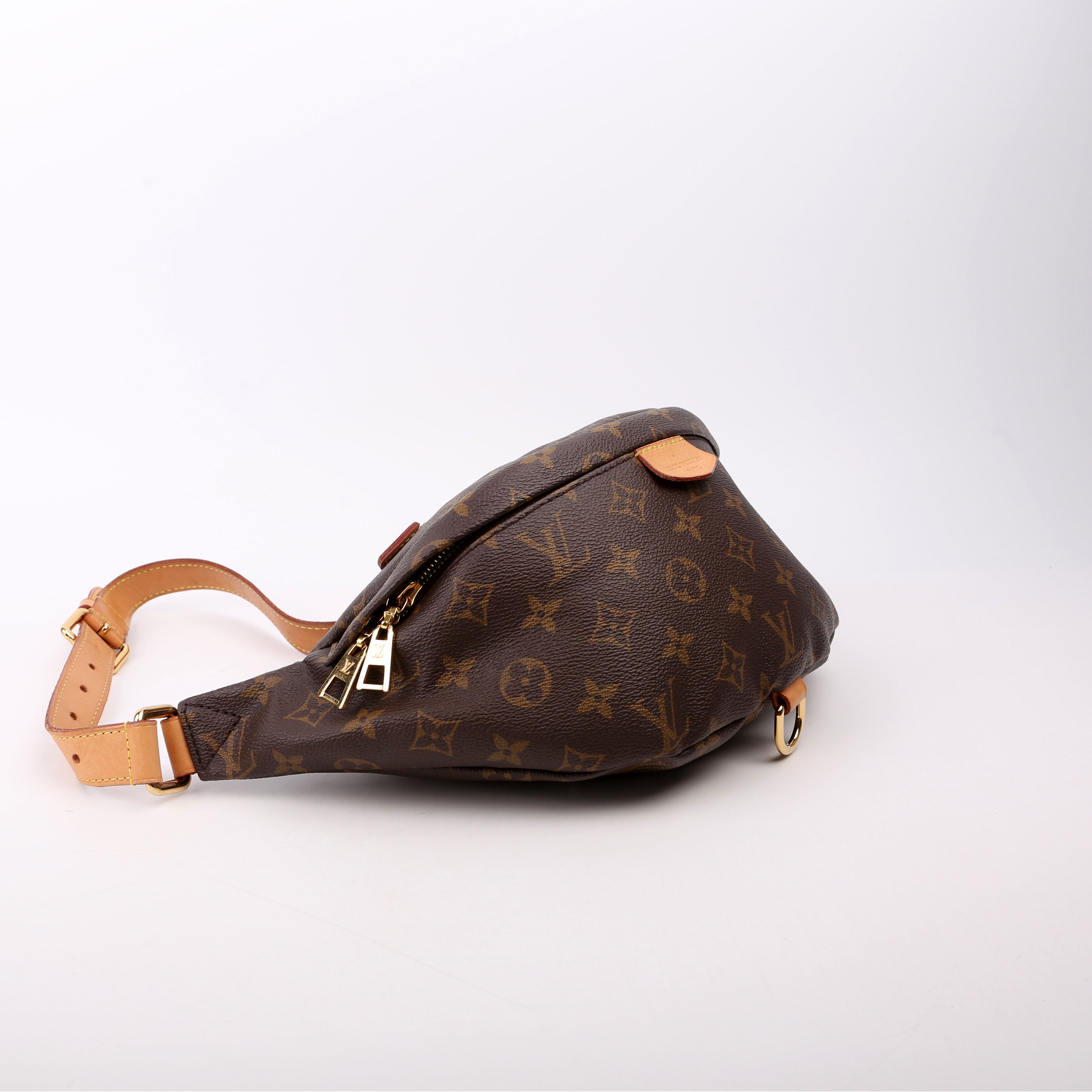Louis Vuitton Bumbag Monogram