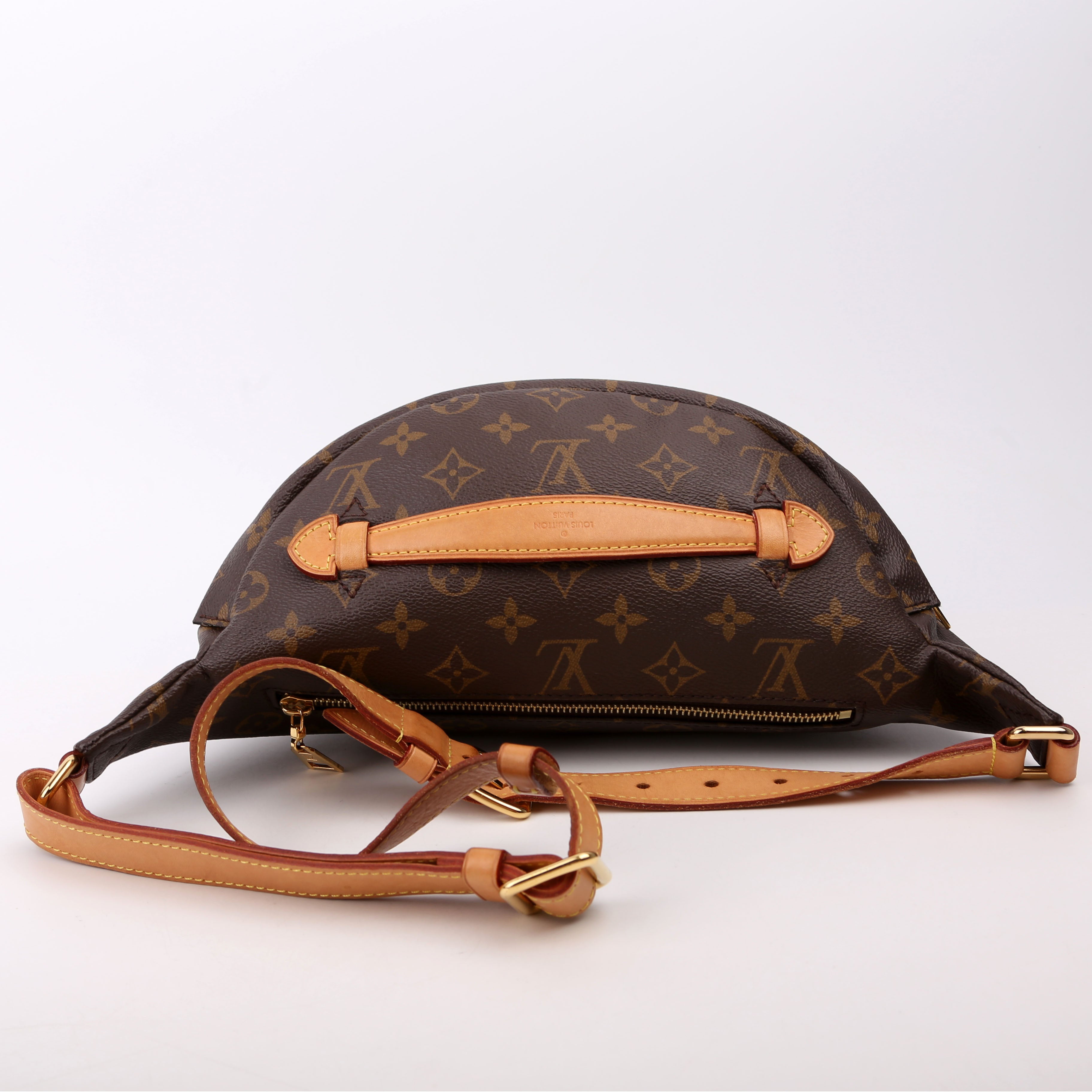 Louis Vuitton Bumbag Monogram