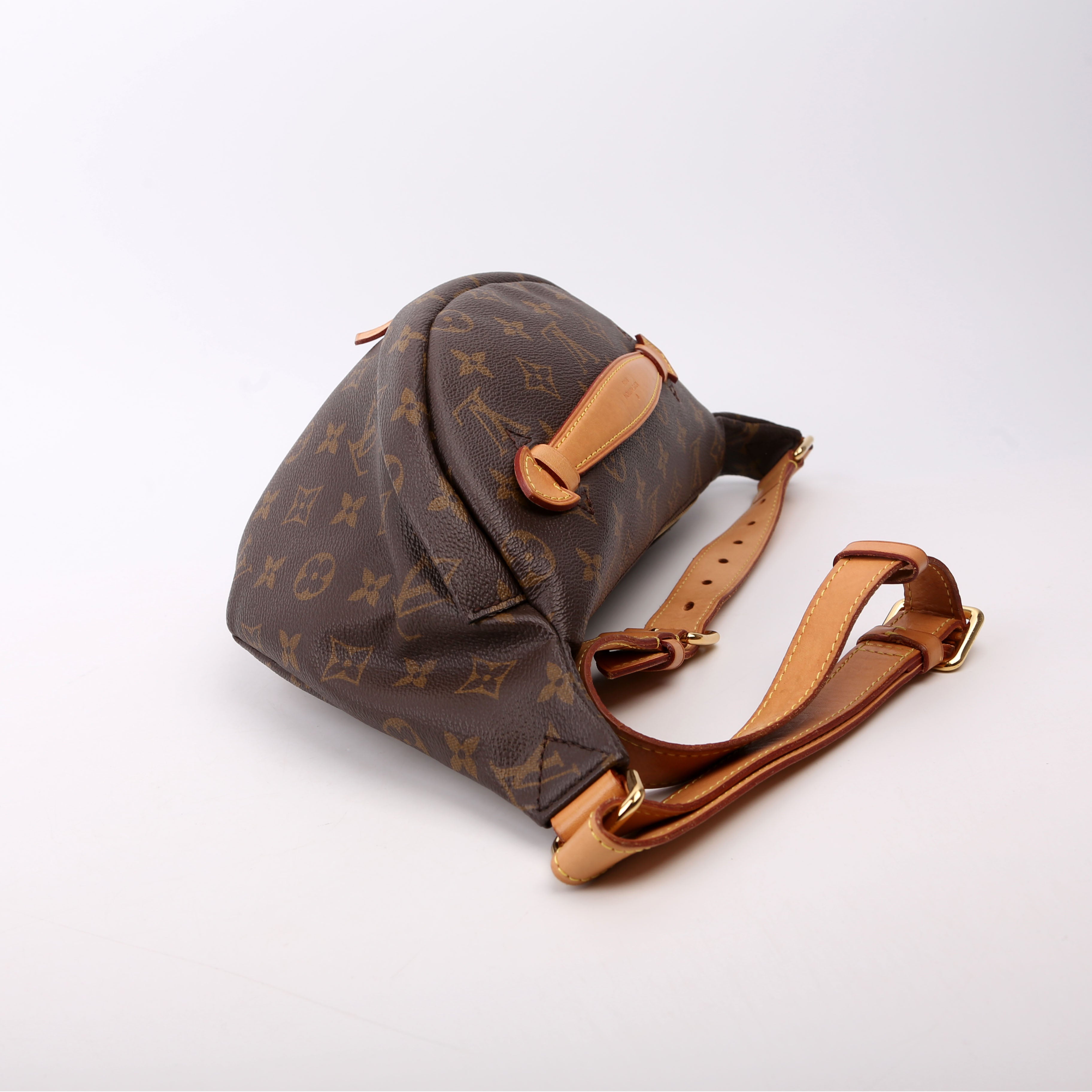 Louis Vuitton Bumbag Monogram