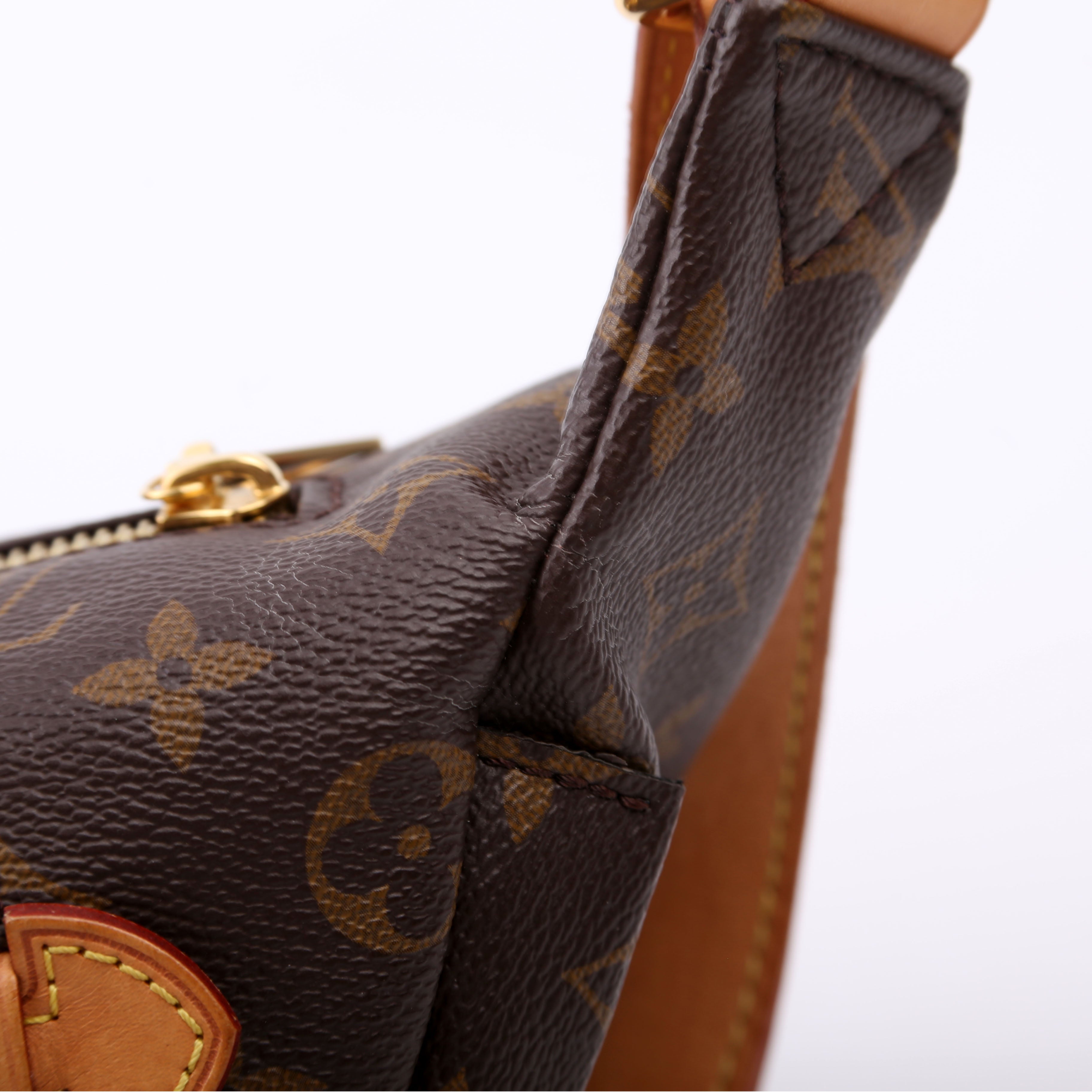 Louis Vuitton Bumbag Monogram