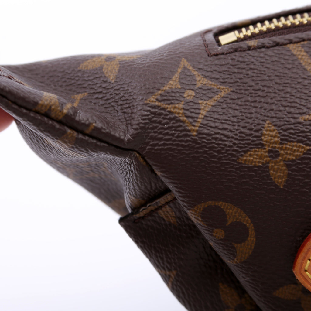 Louis Vuitton Bumbag Monogram