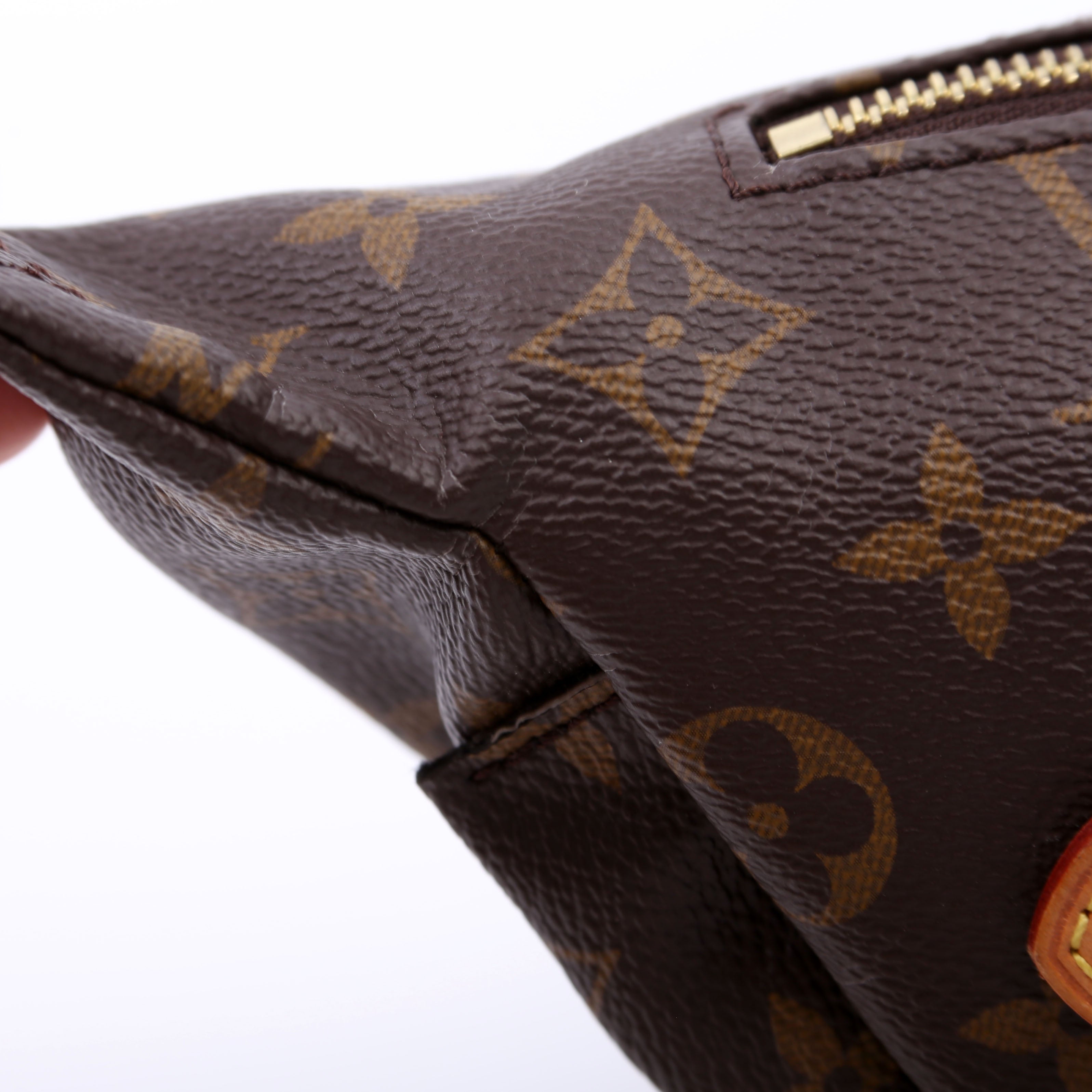 Louis Vuitton Bumbag Monogram