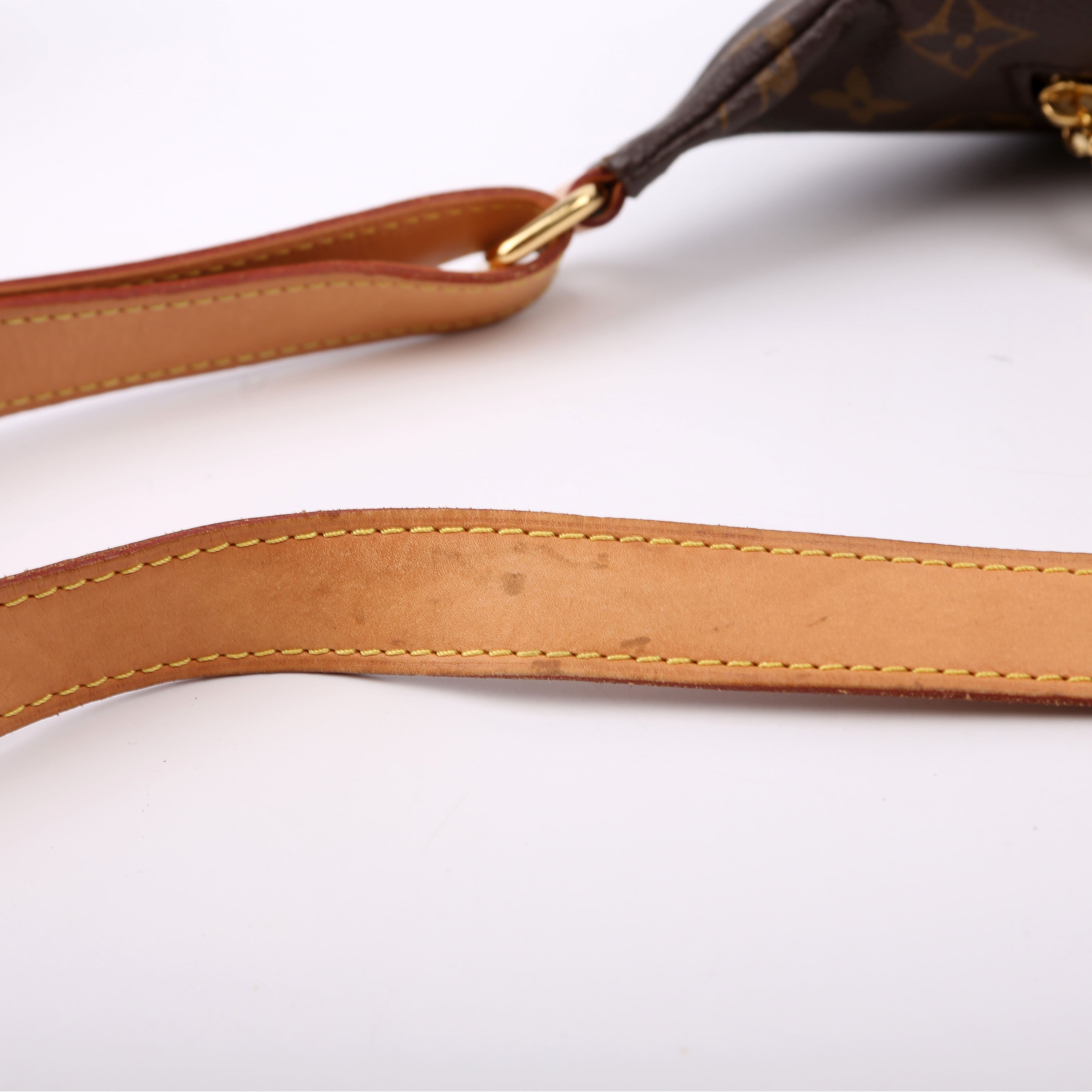 Louis Vuitton Bumbag Monogram