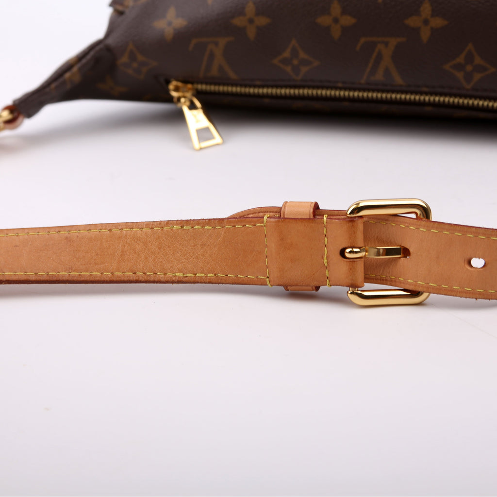 Louis Vuitton Bumbag Monogram