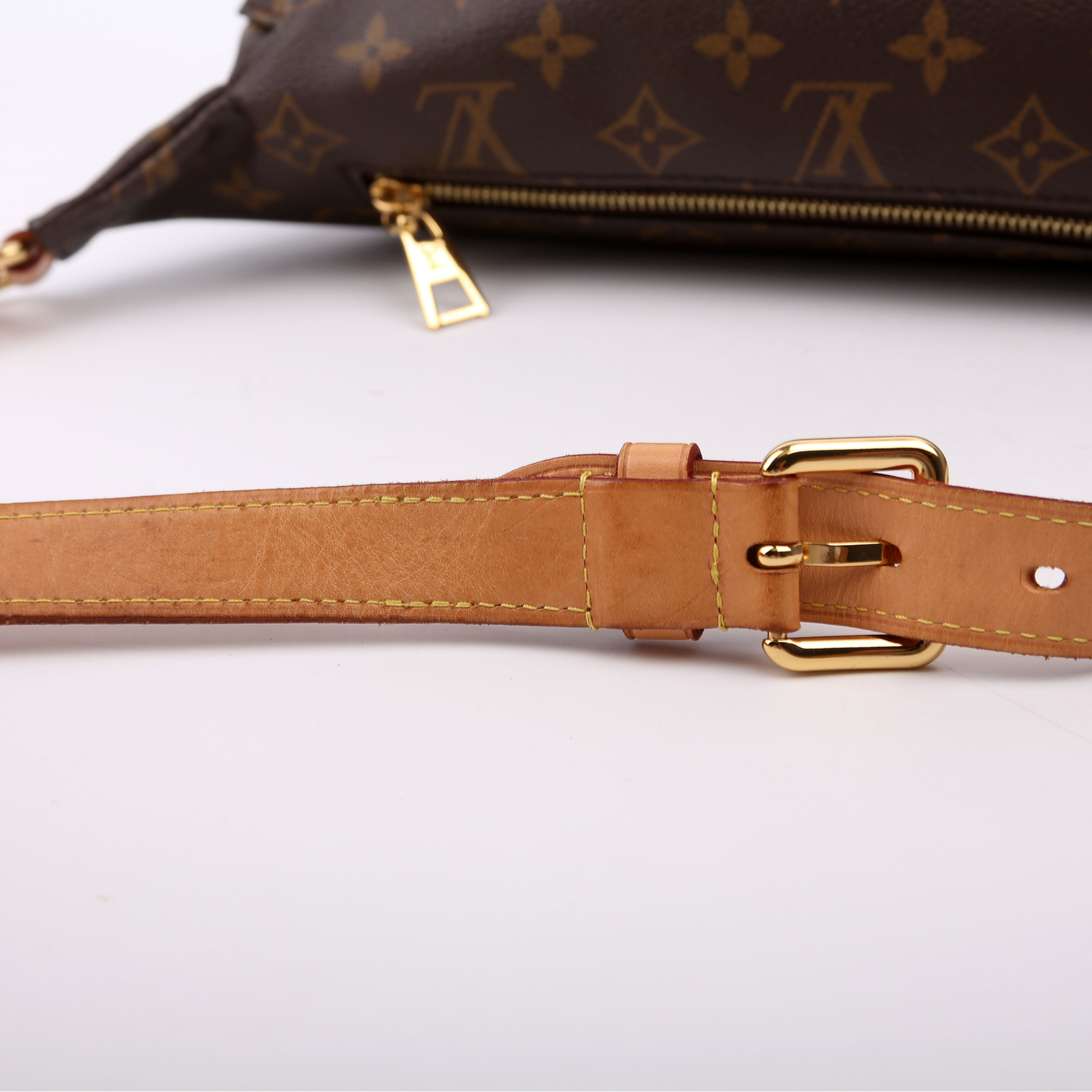 Louis Vuitton Bumbag Monogram