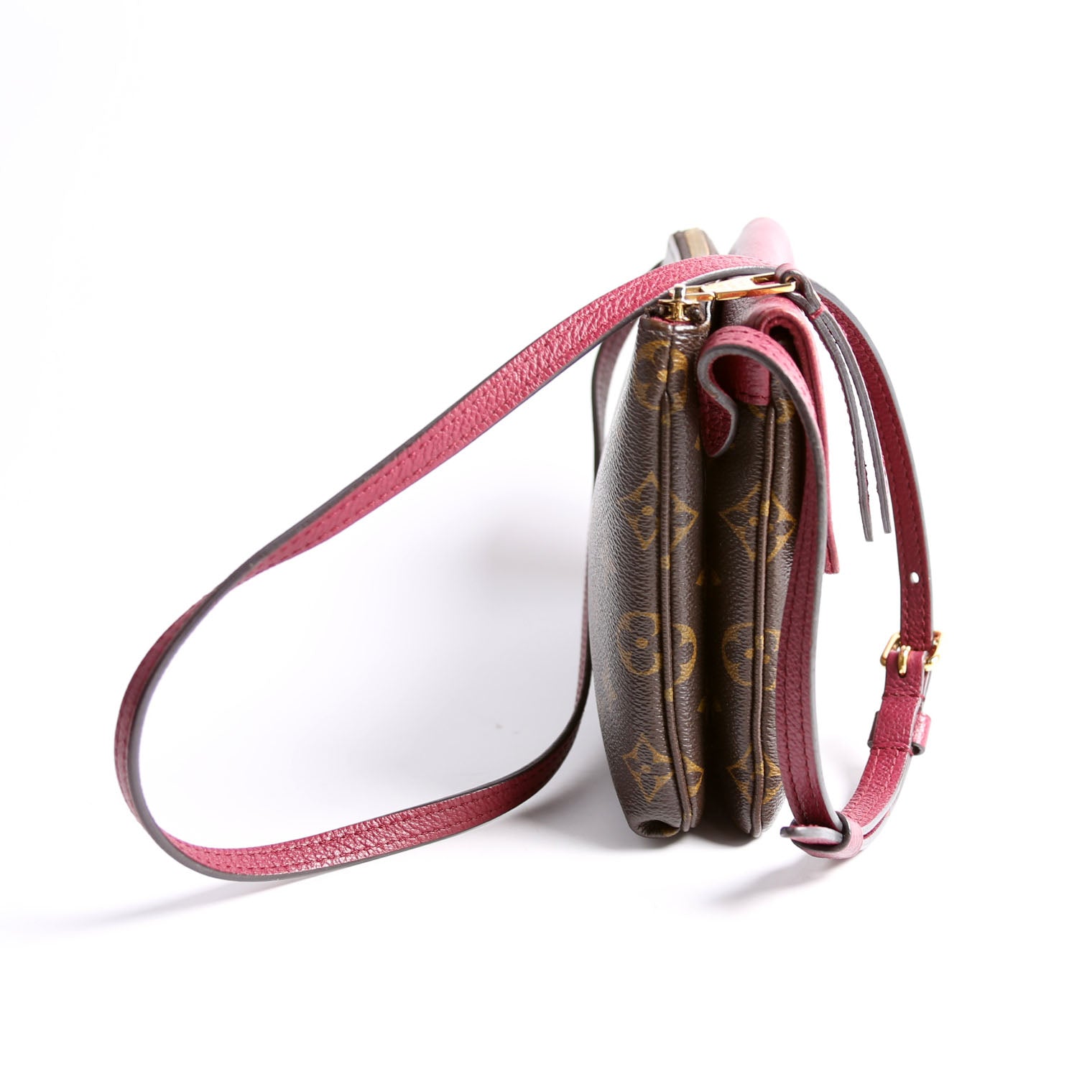 Louis Vuitton Pochette Twice Monogram Berry
