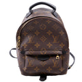 Louis Vuitton Palm Springs Mini Monogram