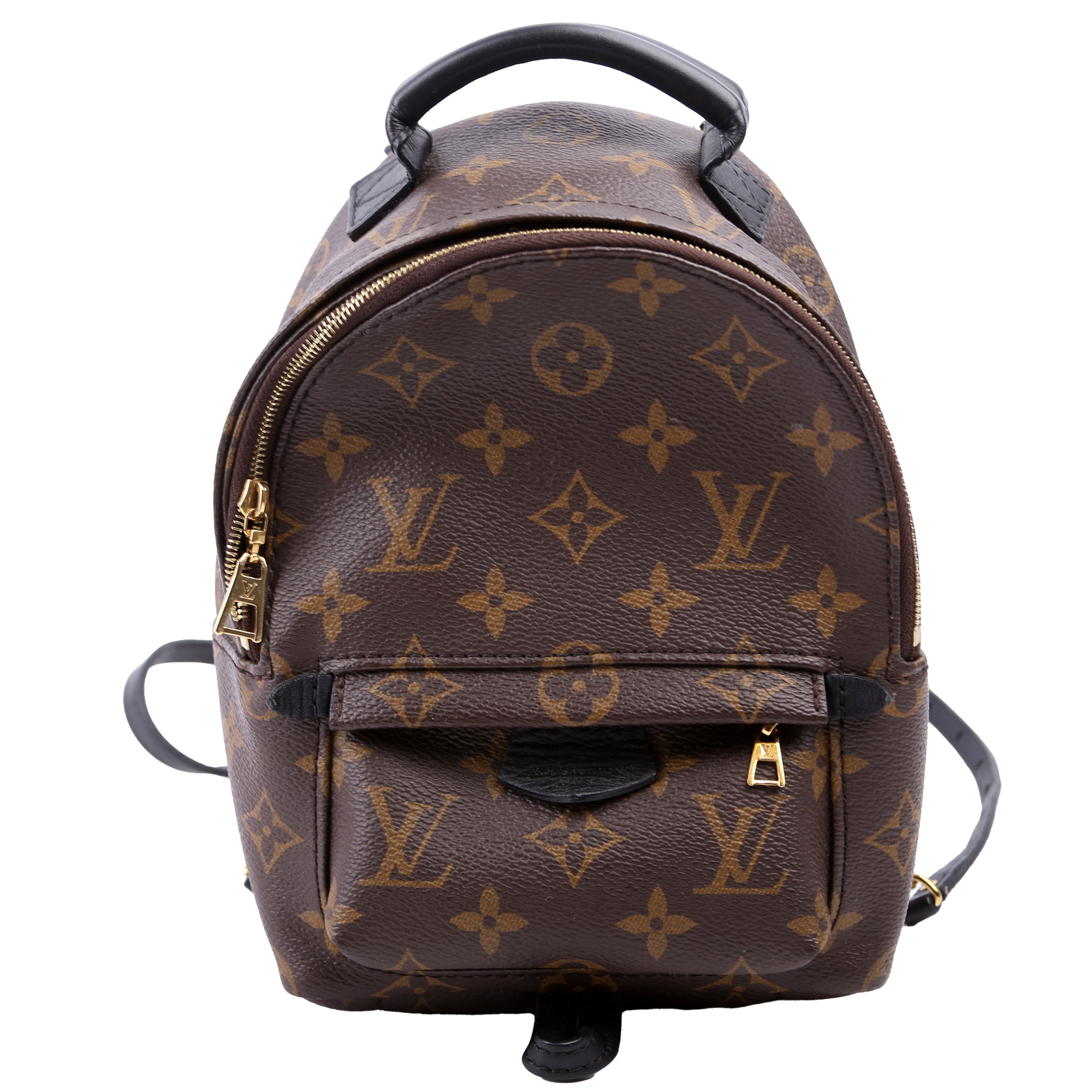 Louis Vuitton Palm Springs Mini Monogram