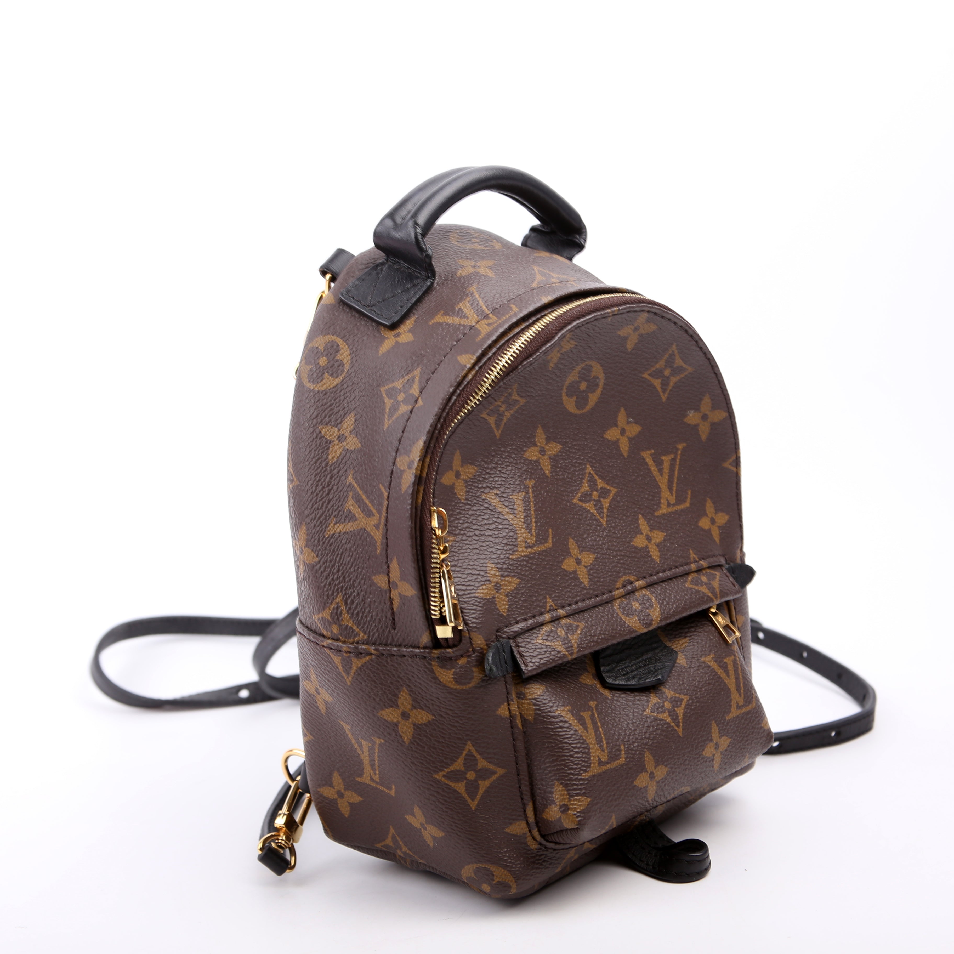 Louis Vuitton Palm Springs Mini Monogram