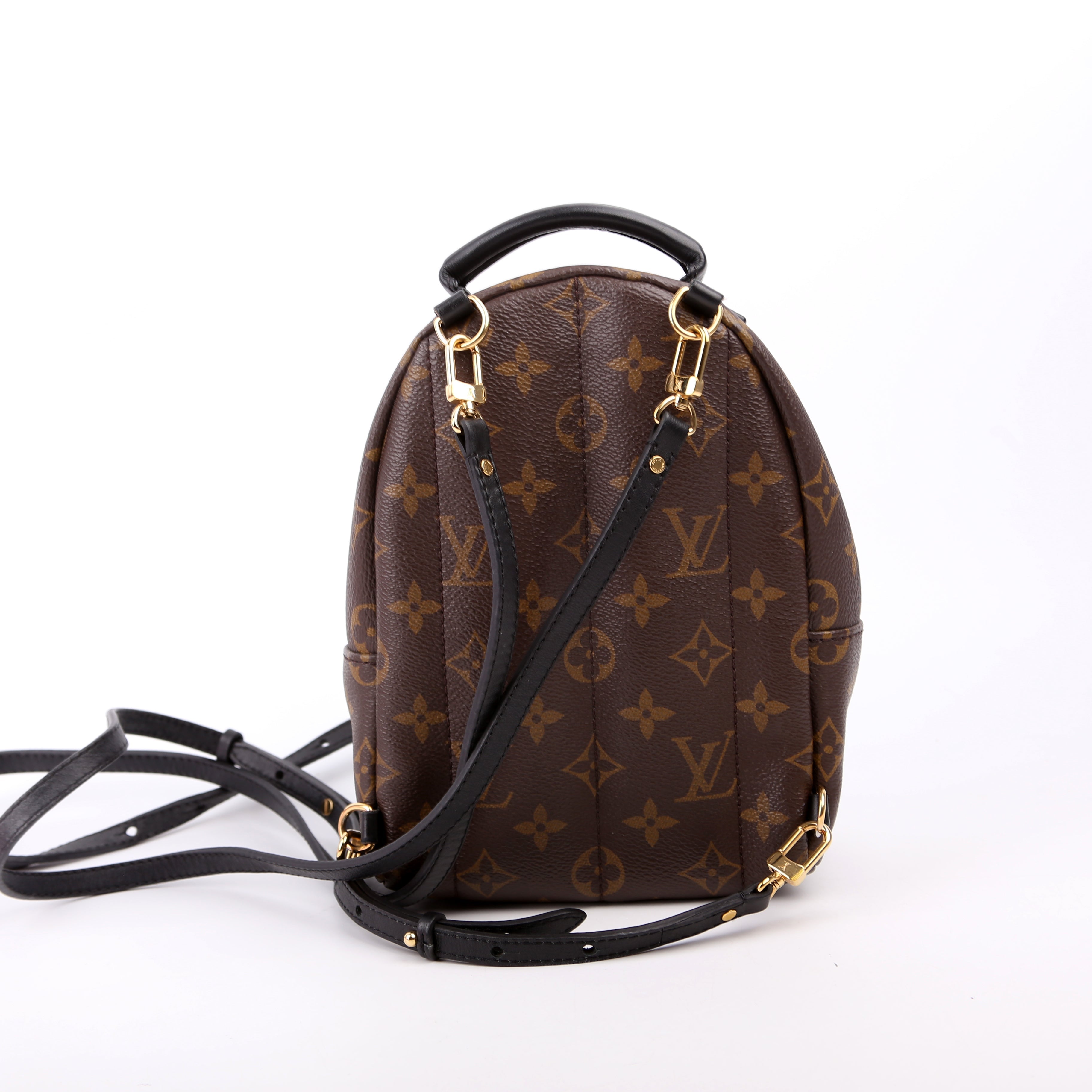 Louis Vuitton Palm Springs Mini Monogram