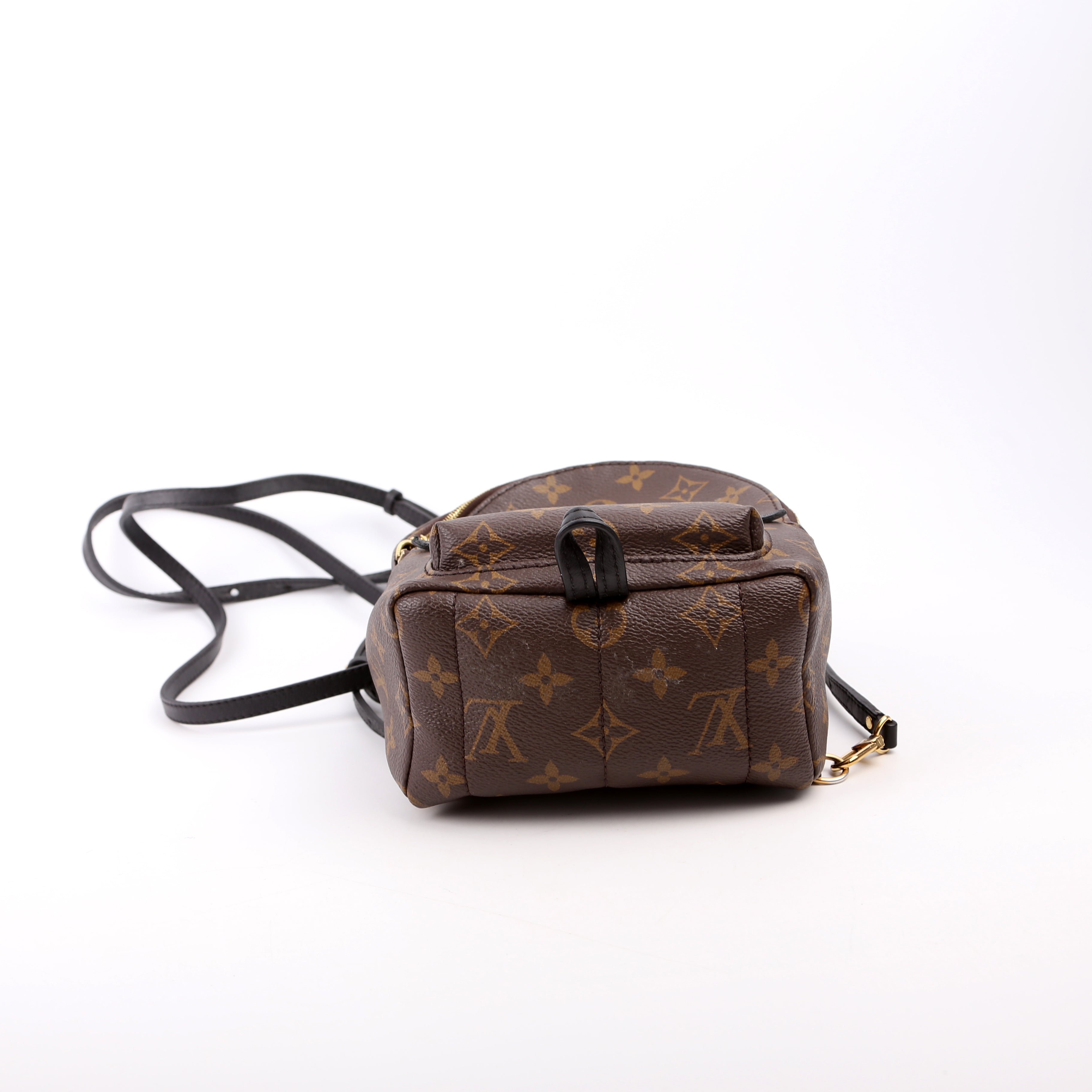 Louis Vuitton Palm Springs Mini Monogram
