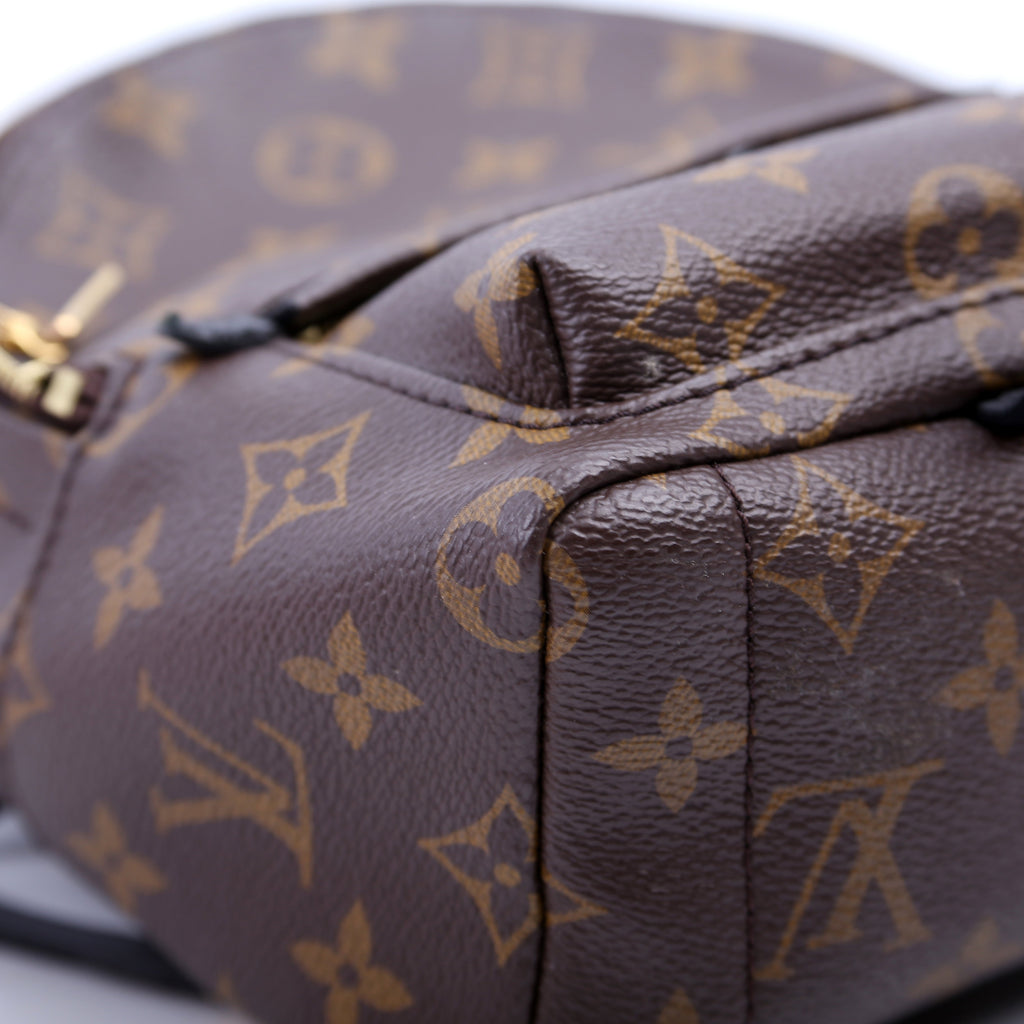 Louis Vuitton Palm Springs Mini Monogram
