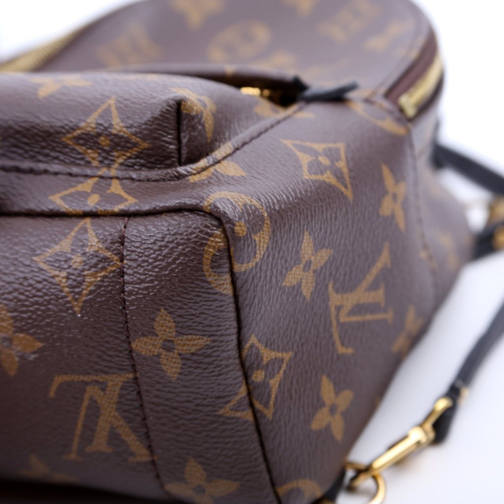 Louis Vuitton Palm Springs Mini Monogram
